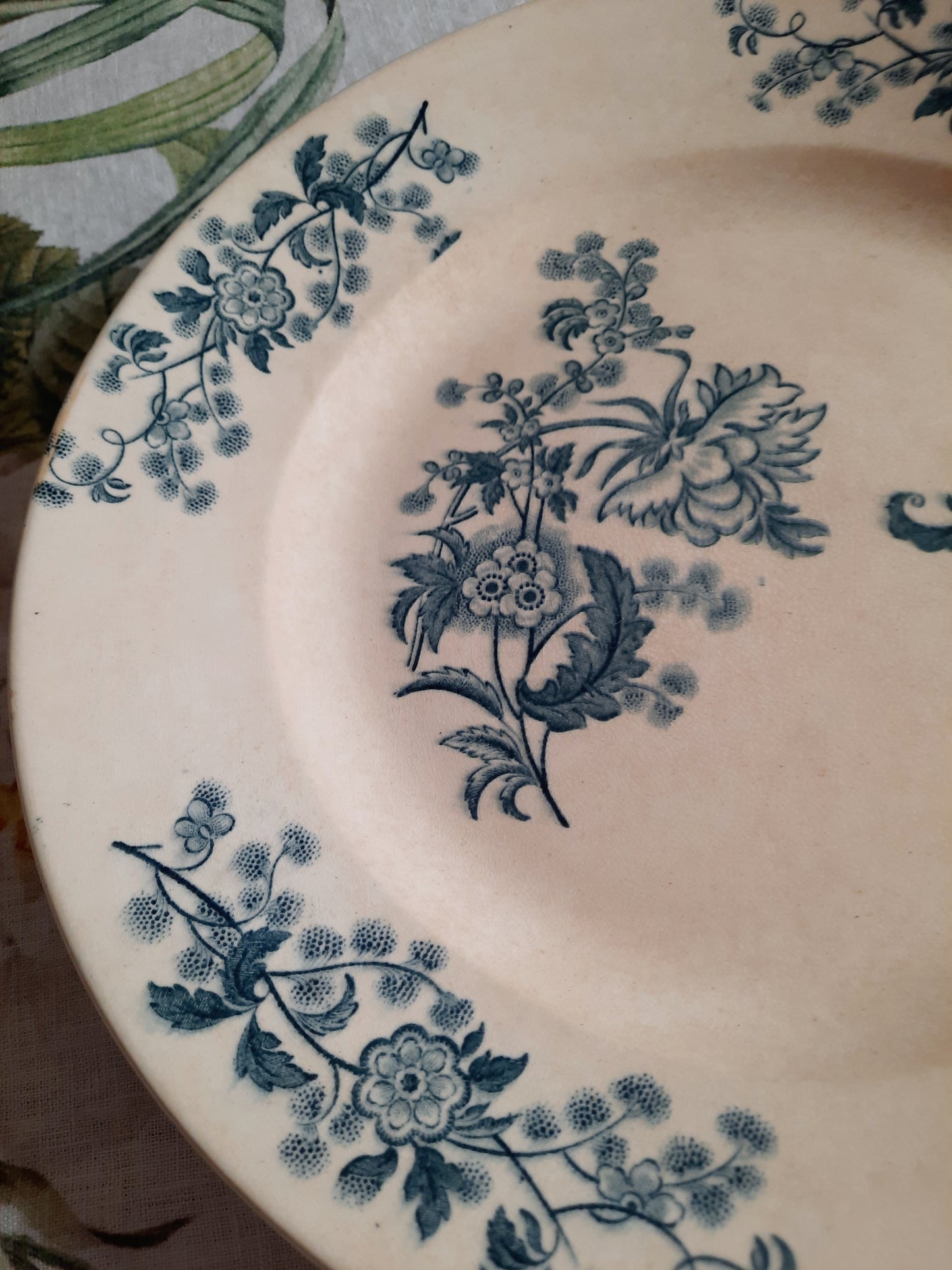 Plat rond – modèle YCHO