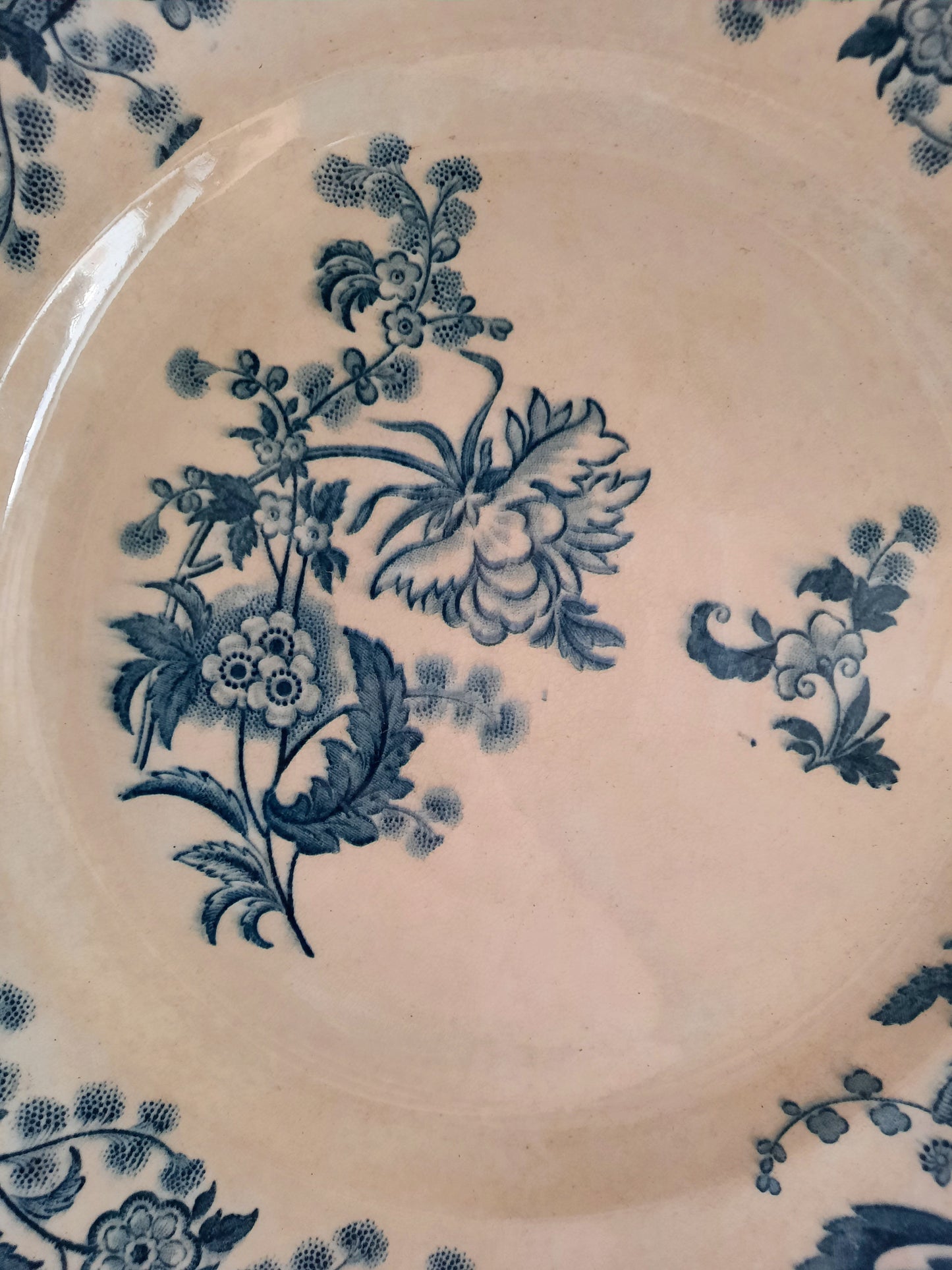 Plat rond – modèle YCHO