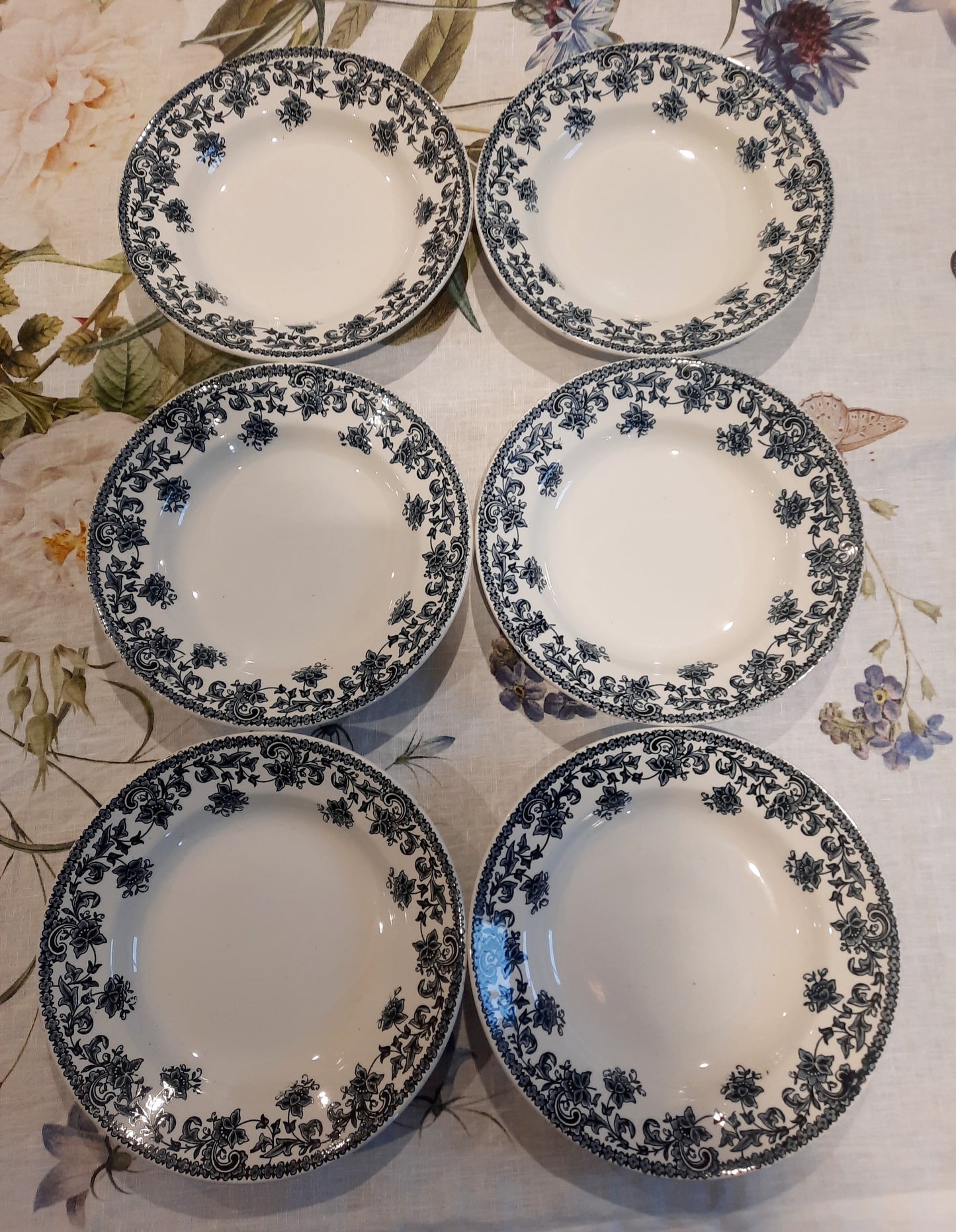 Lot de 6 assiettes creuses St Amand