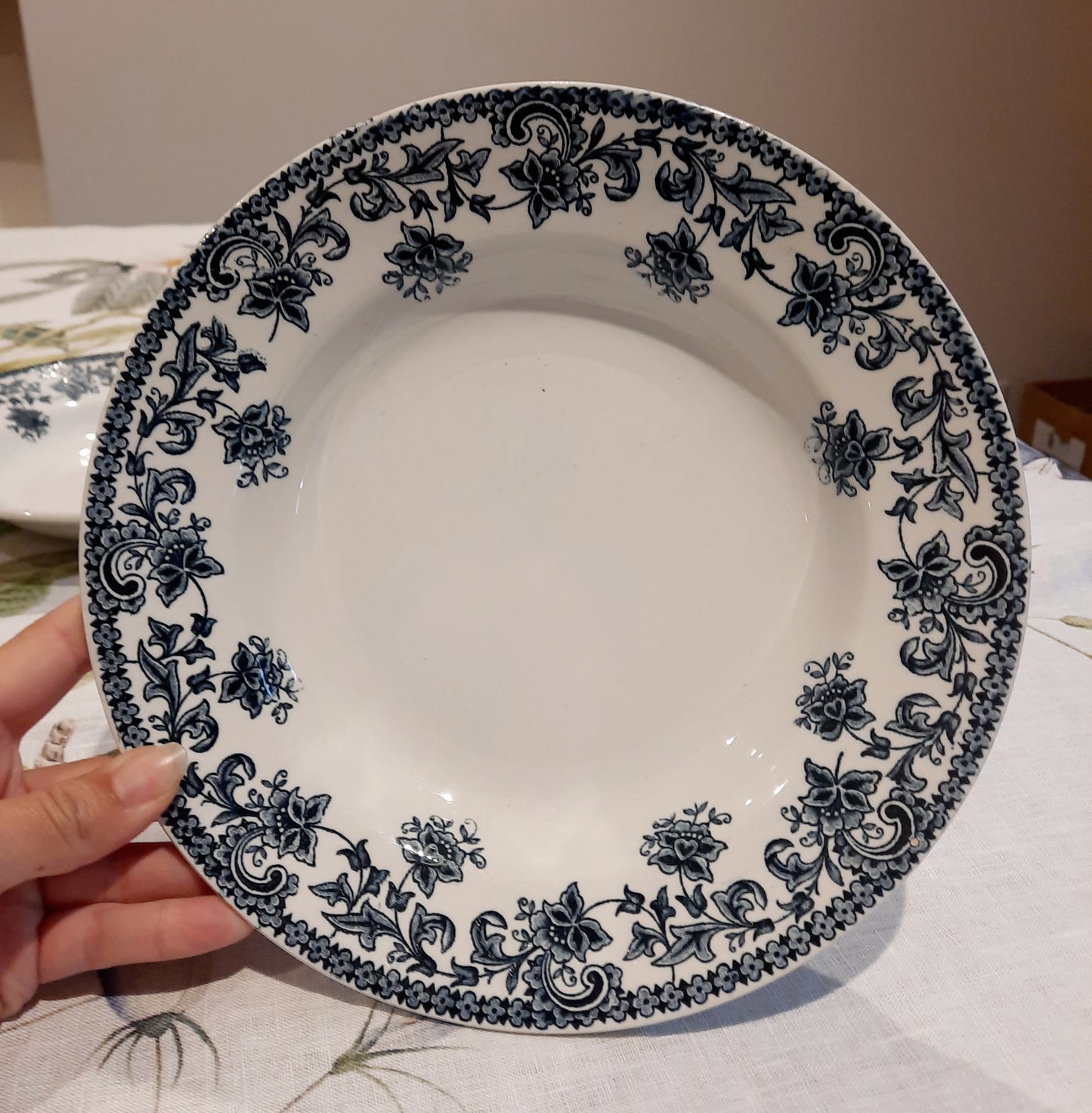 Lot de 6 assiettes creuses St Amand