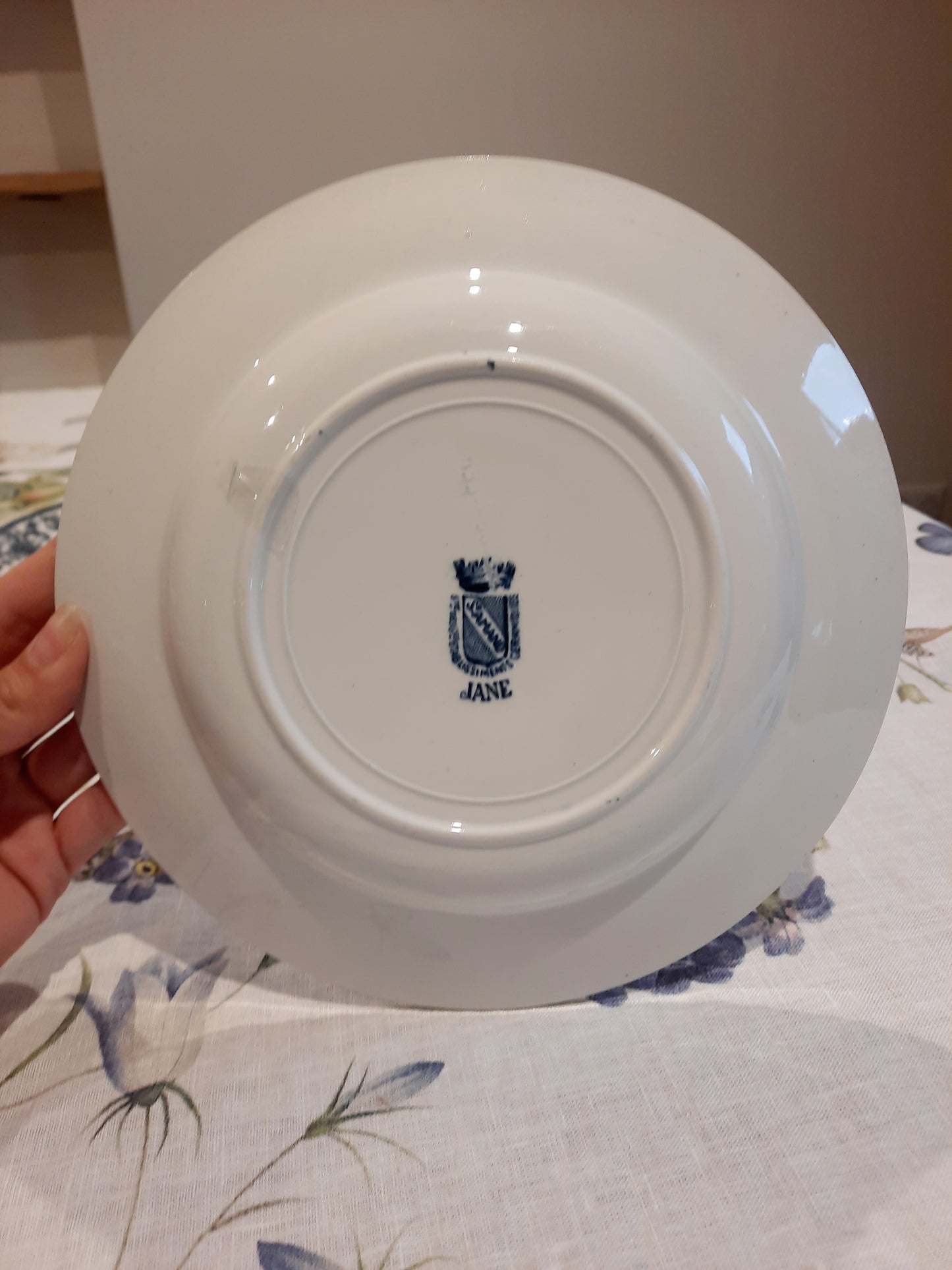 Lot de 6 assiettes creuses St Amand