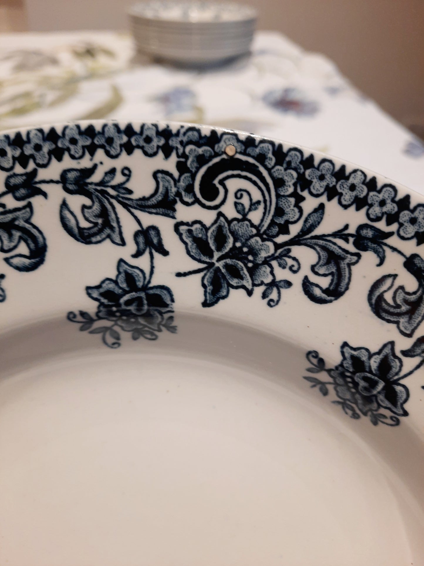 Lot de 6 assiettes creuses St Amand