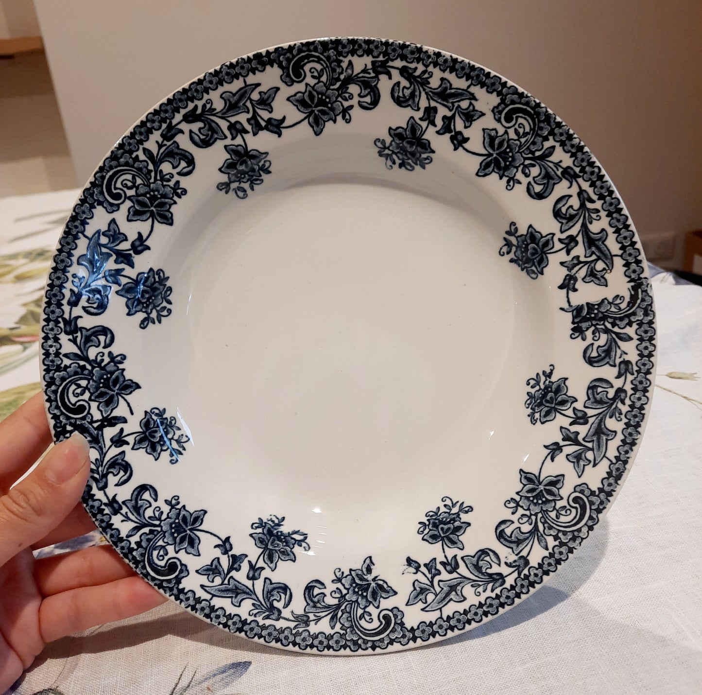 Lot de 6 assiettes creuses St Amand