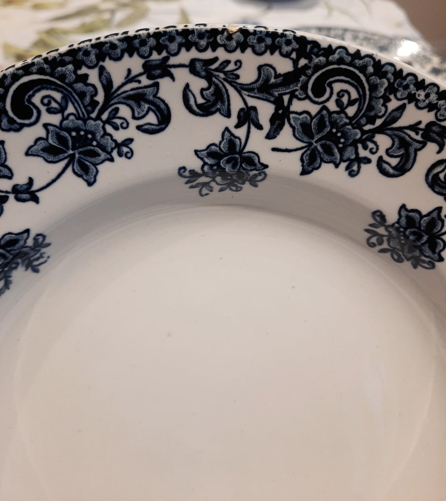Lot de 6 assiettes creuses St Amand
