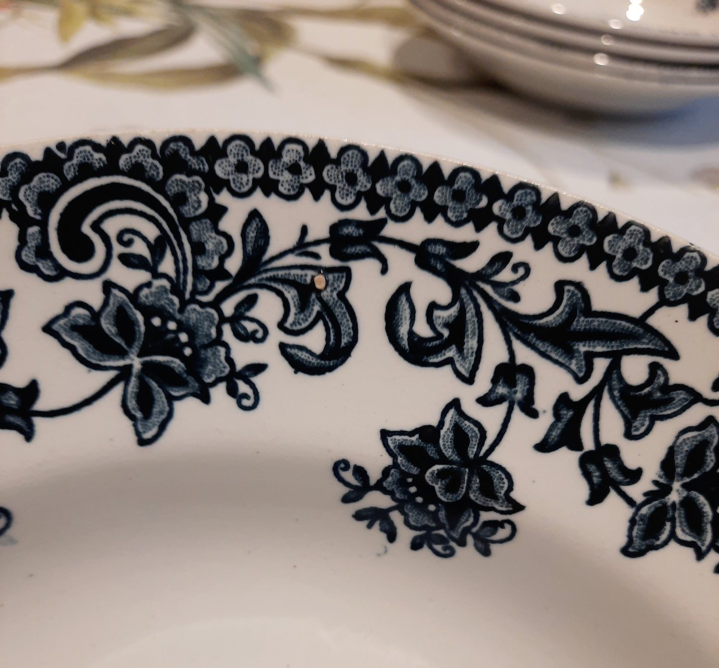 Lot de 6 assiettes creuses St Amand
