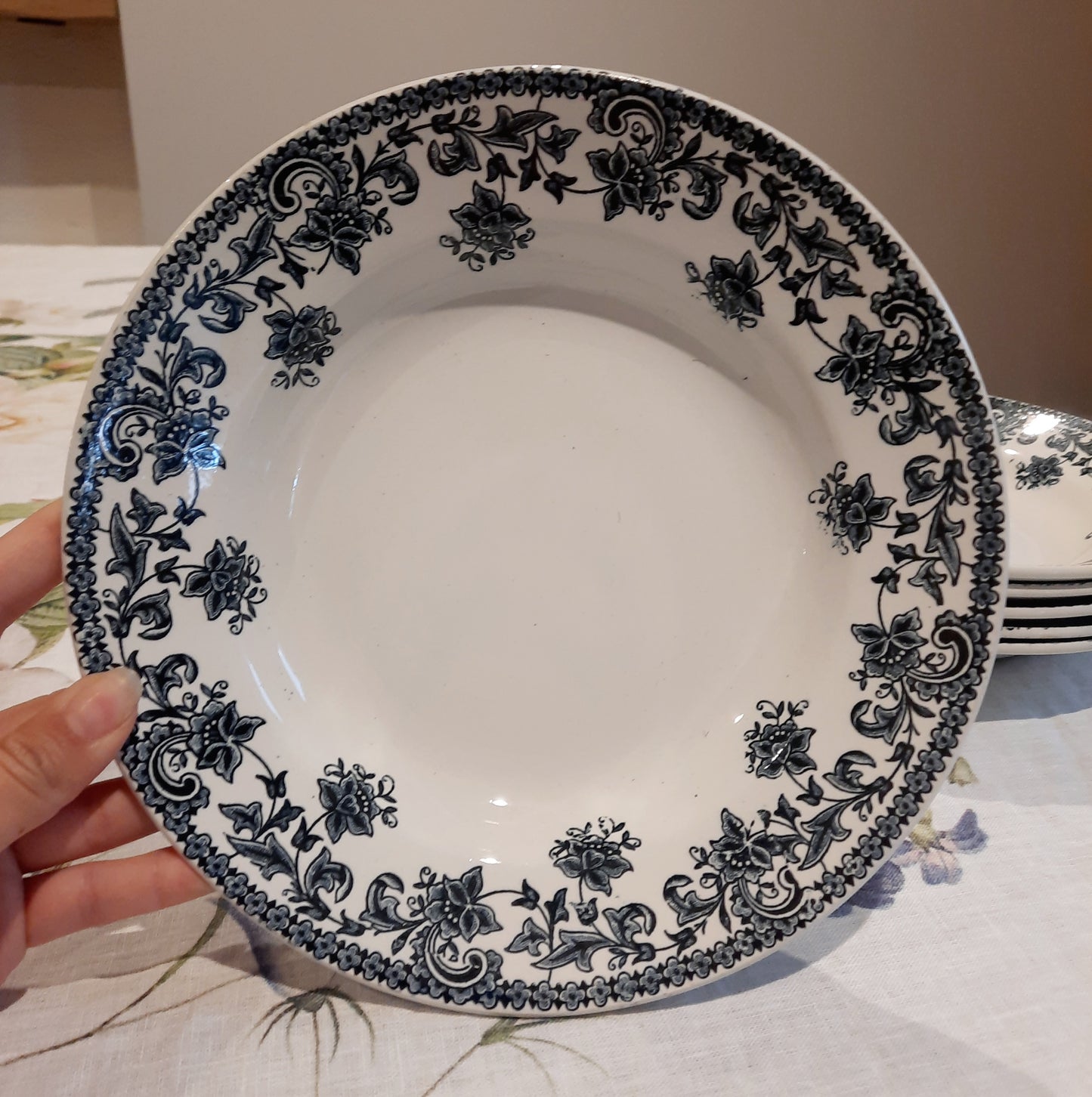 Lot de 6 assiettes creuses St Amand