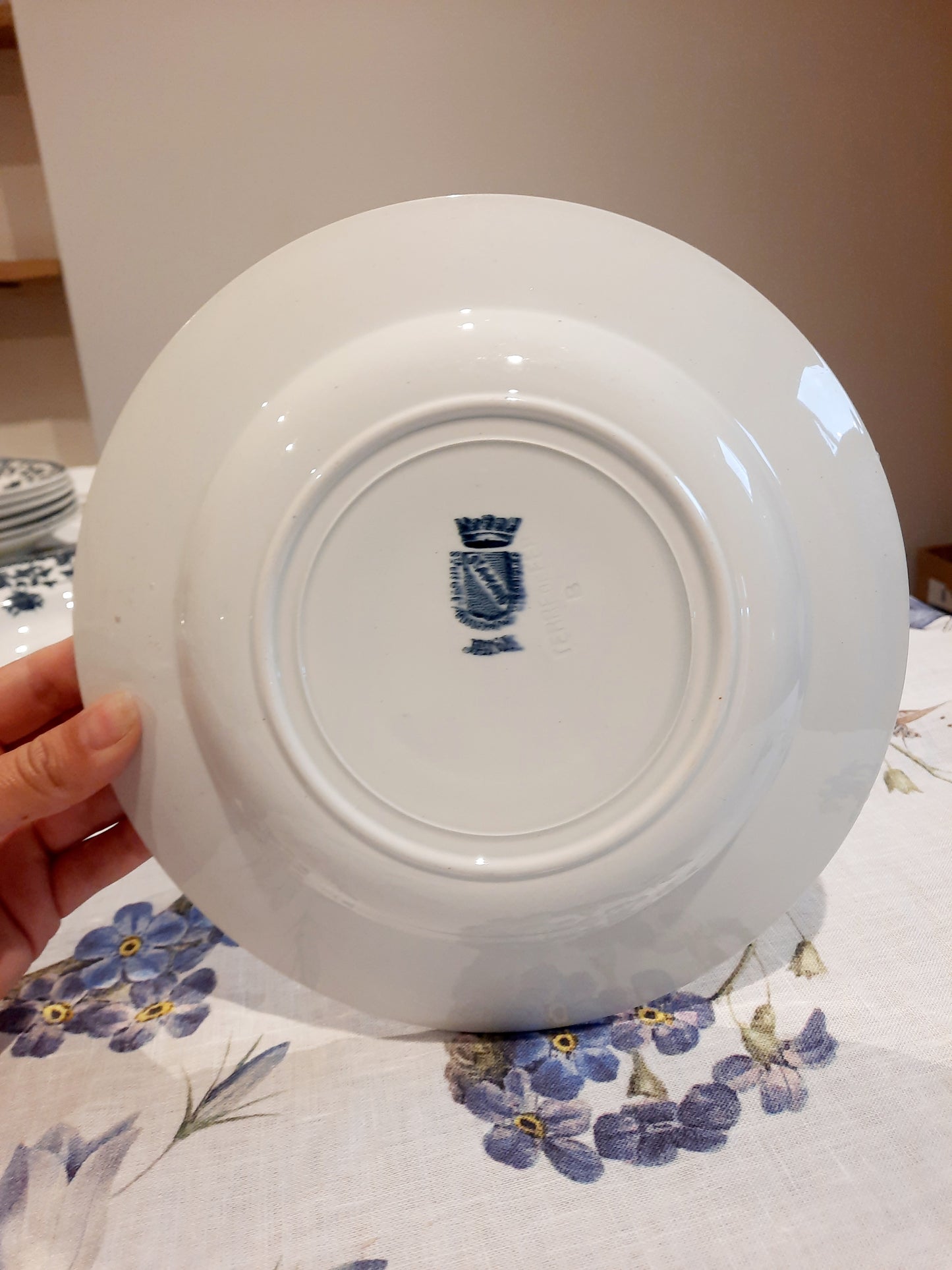 Lot de 8 assiettes creuses St Amand