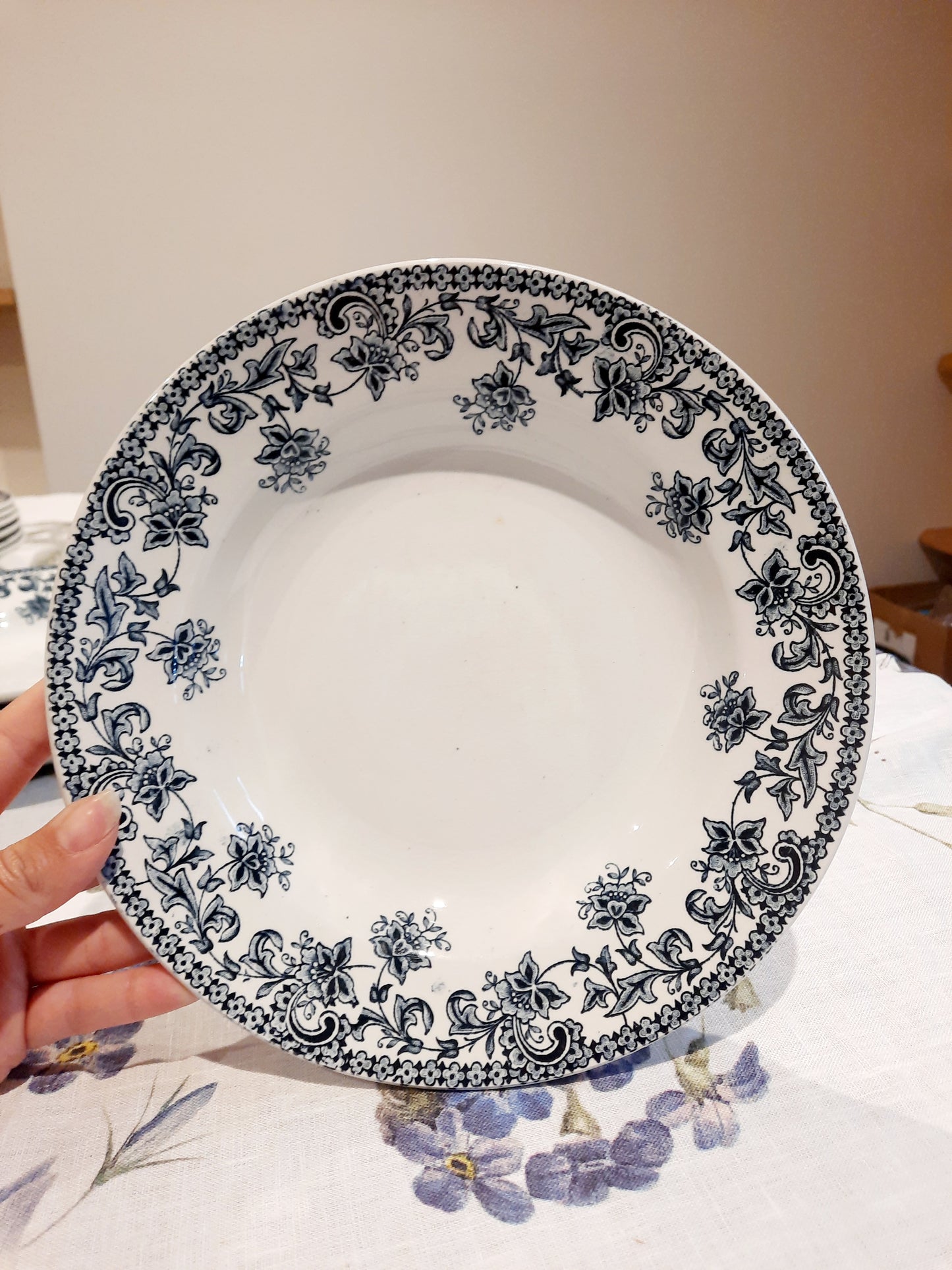 Lot de 8 assiettes creuses St Amand