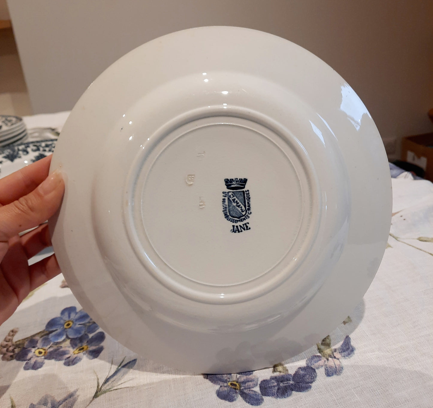 Lot de 8 assiettes creuses St Amand