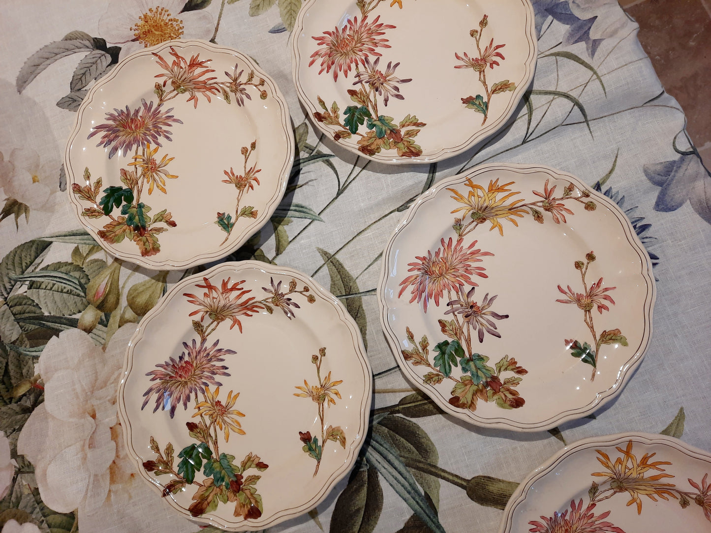 Lot de 6 assiettes plates en Terre de Fer