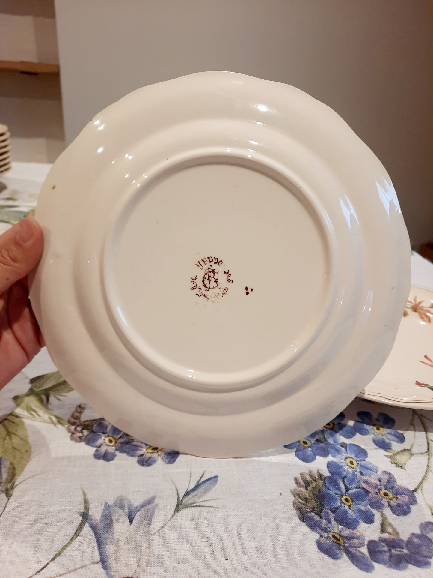 Lot de 6 assiettes plates en Terre de Fer