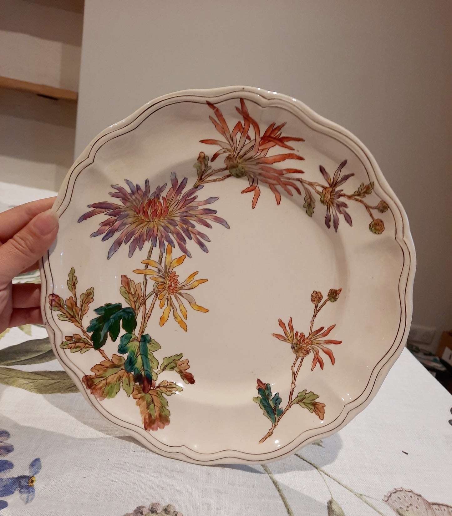 Lot de 6 assiettes plates en Terre de Fer