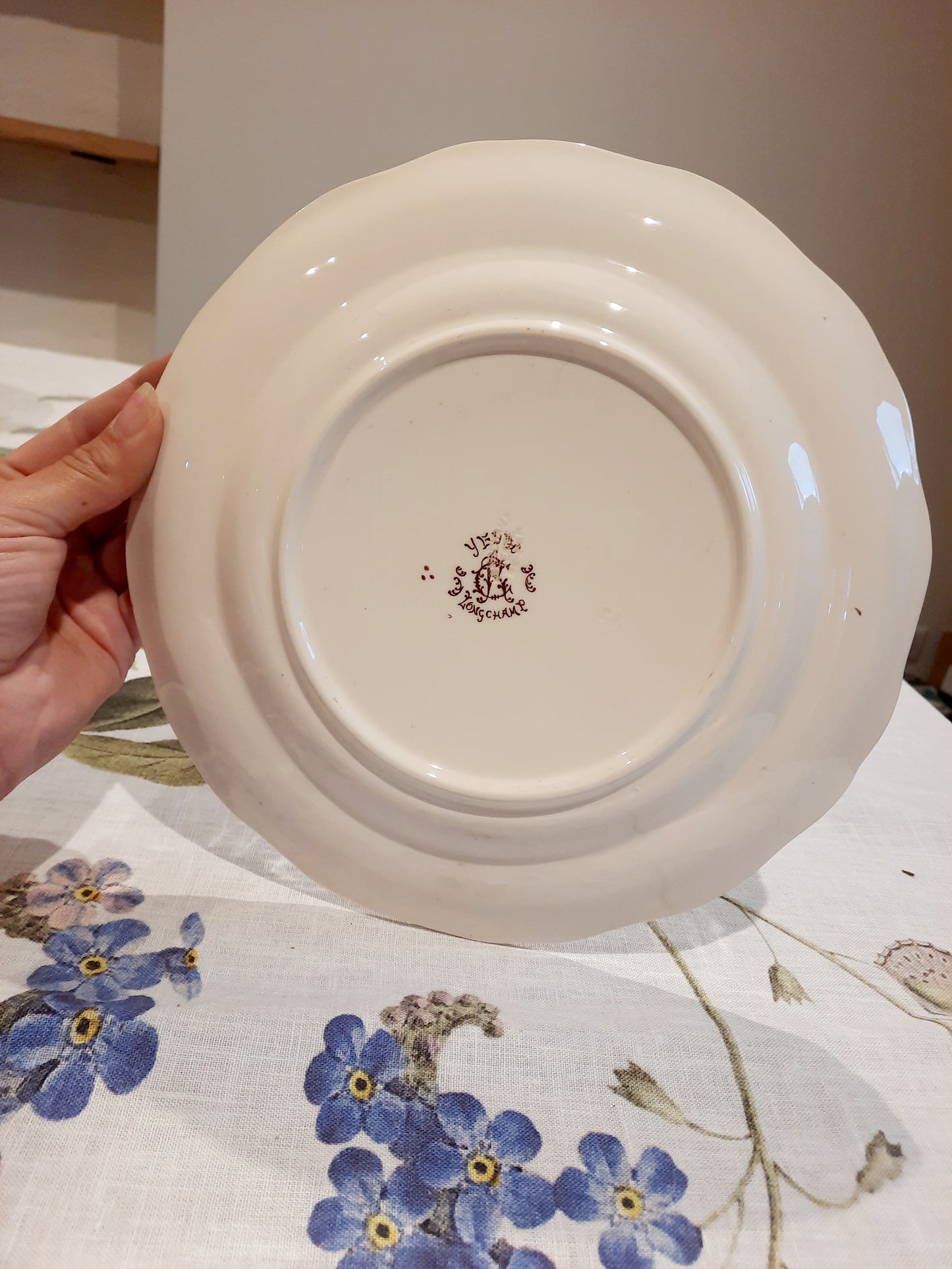 Lot de 6 assiettes plates en Terre de Fer