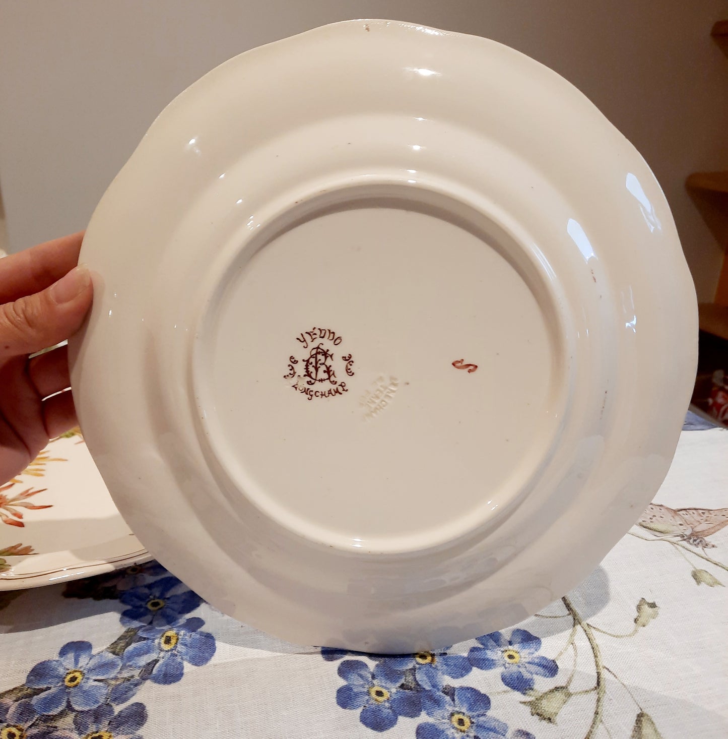 Lot de 4 assiettes plates en Terre de Fer
