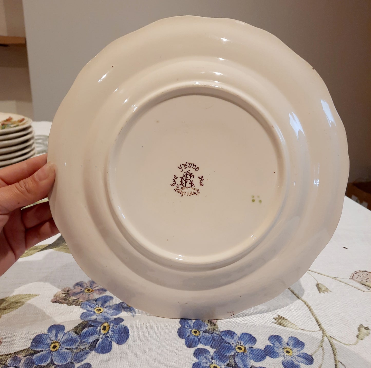 Lot de 4 assiettes plates en Terre de Fer