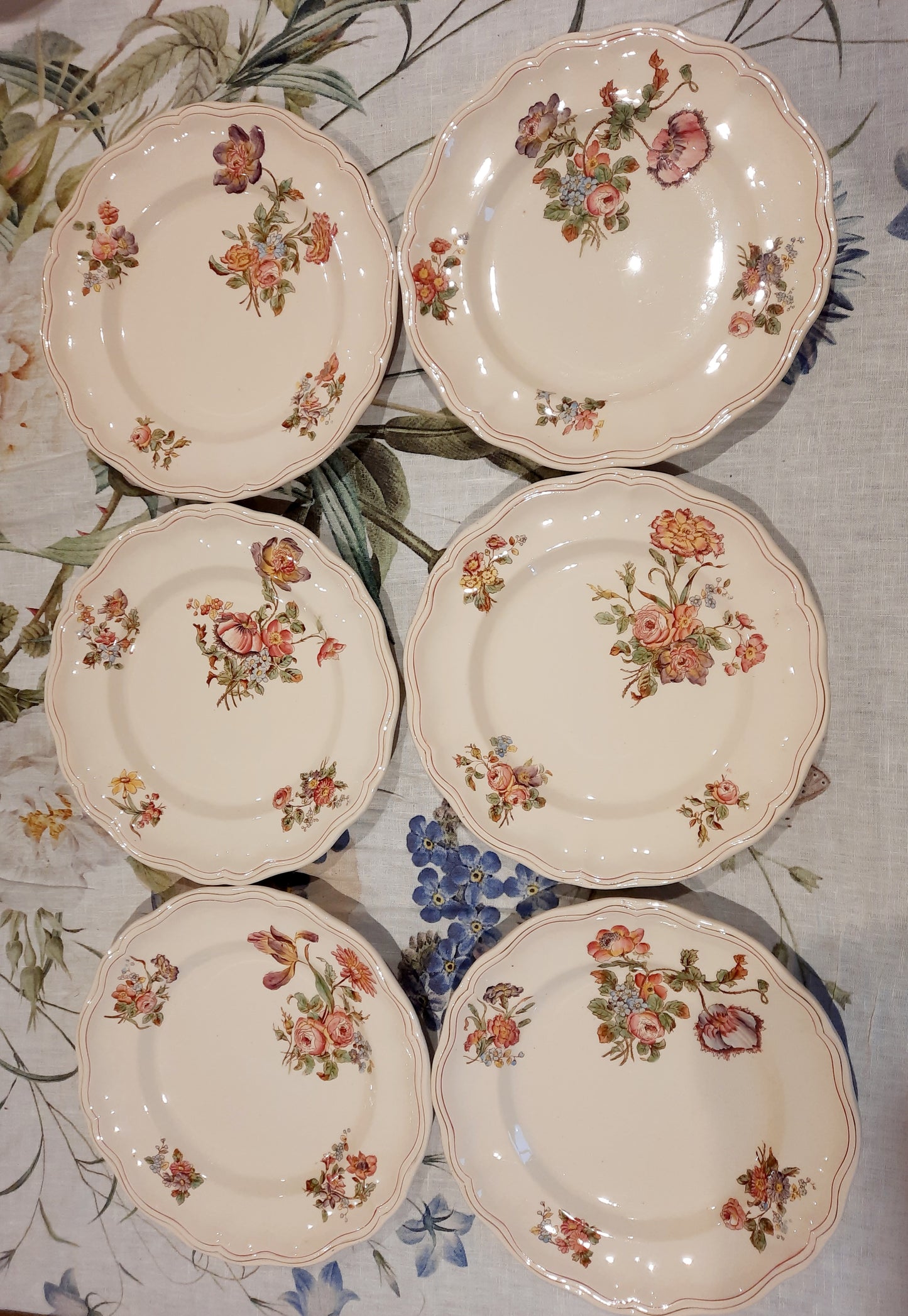 6 assiettes plates Longchamp