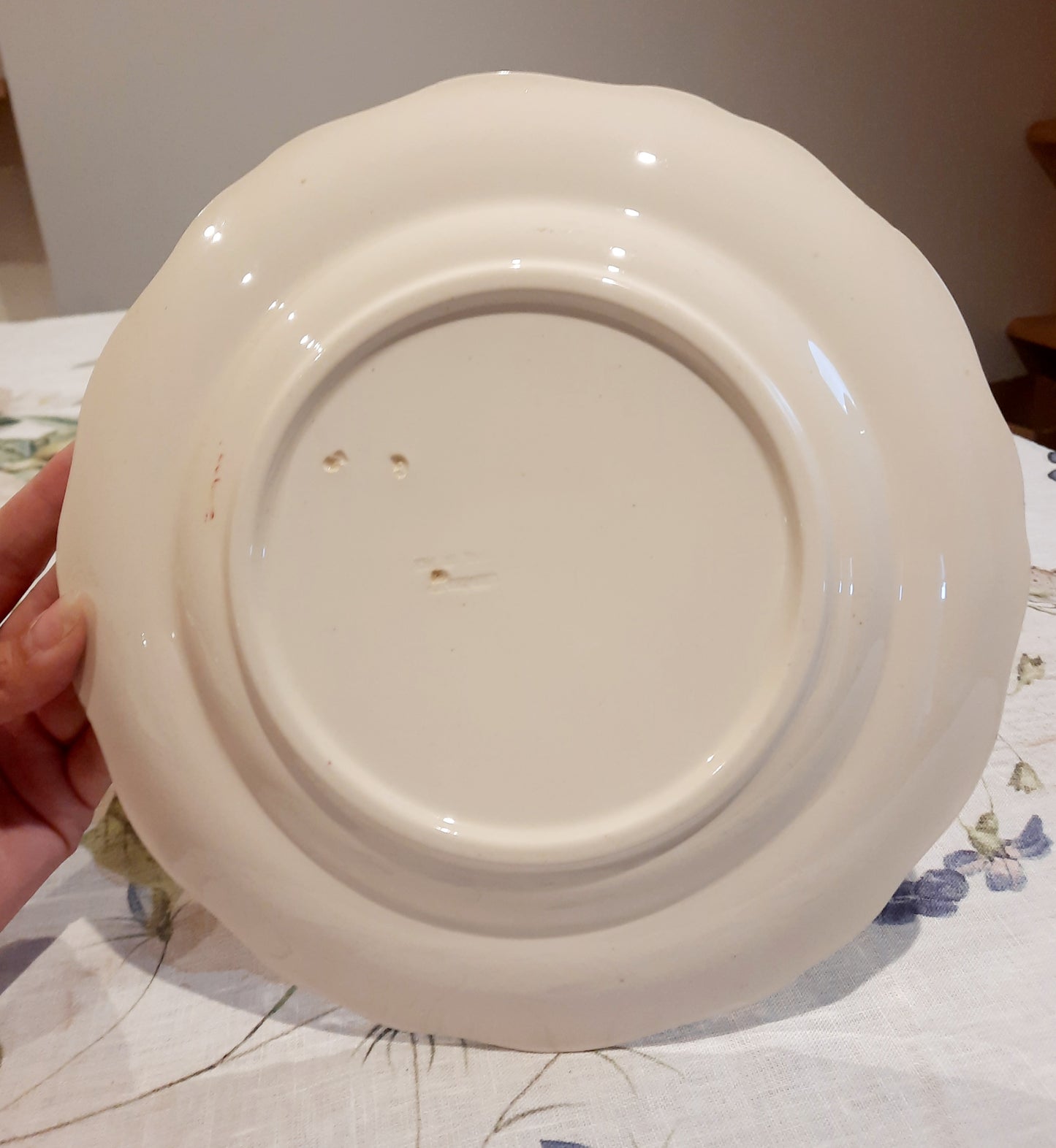 6 assiettes plates Longchamp