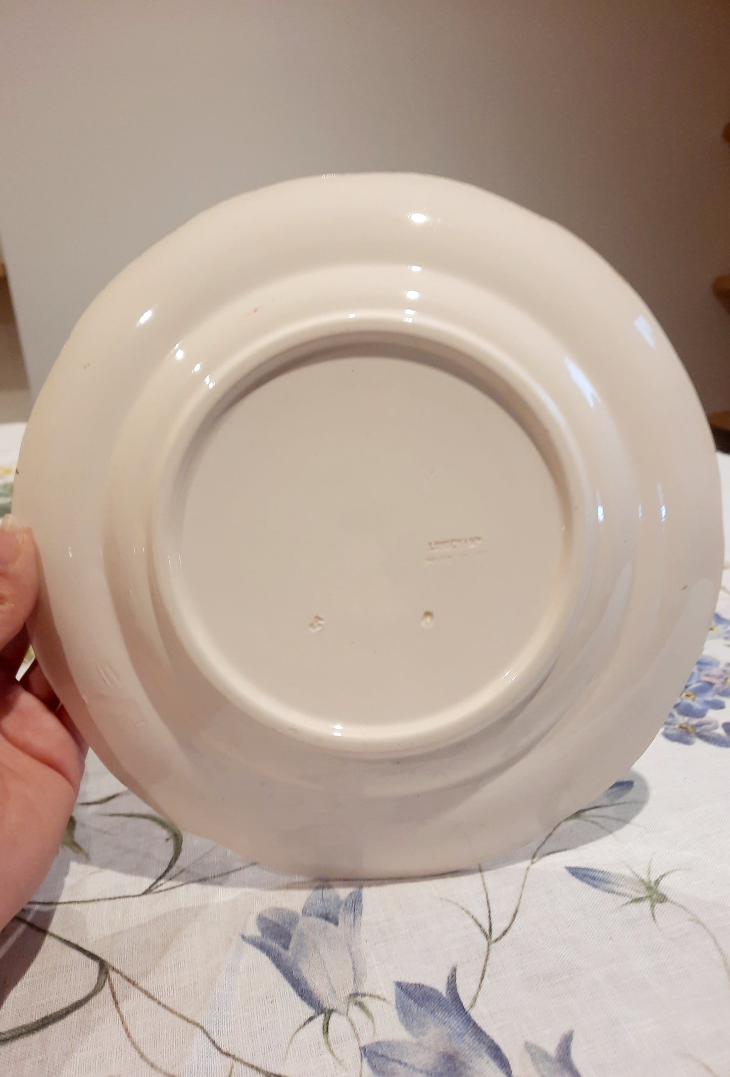 6 assiettes plates Longchamp