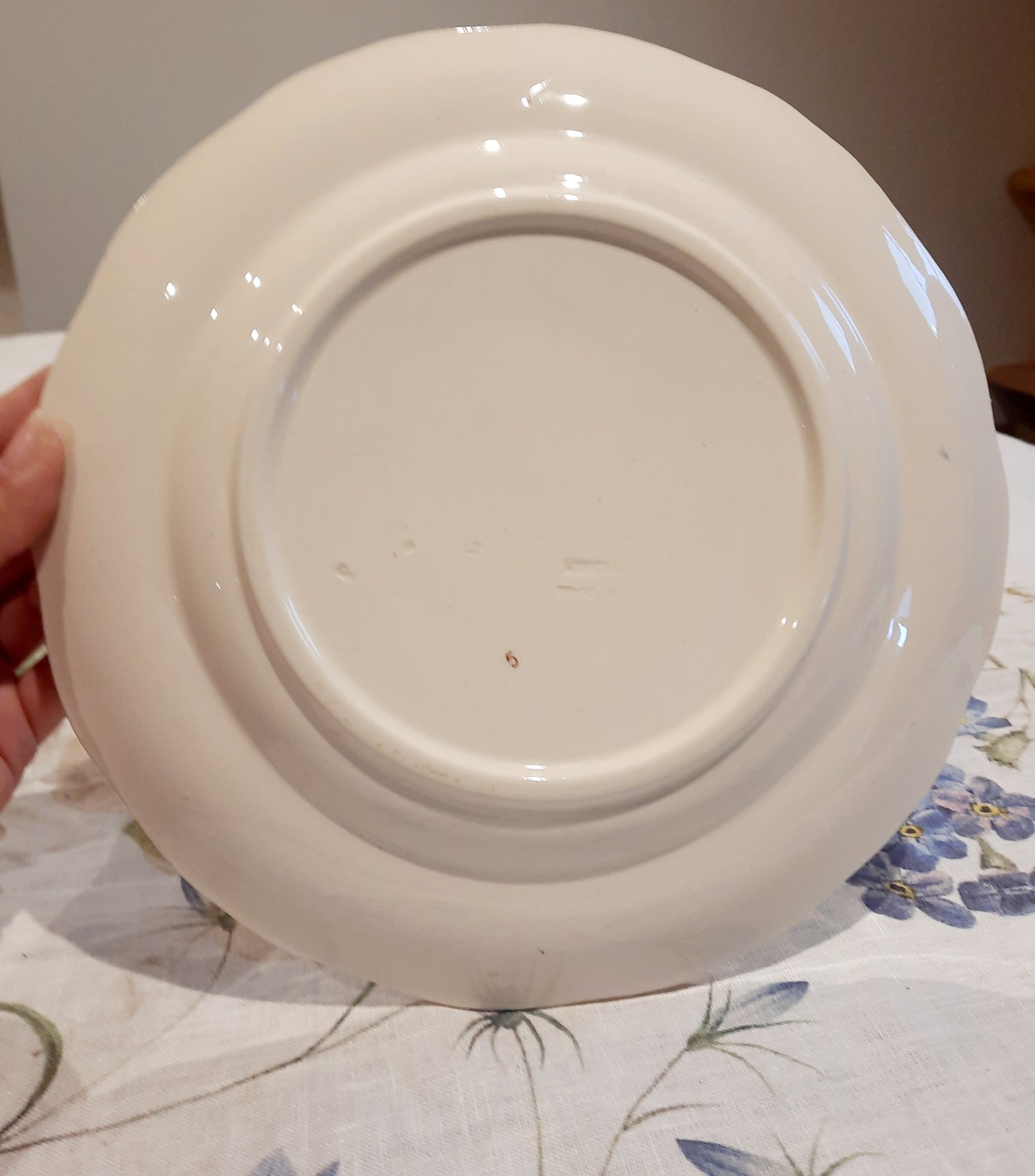 6 assiettes plates Longchamp