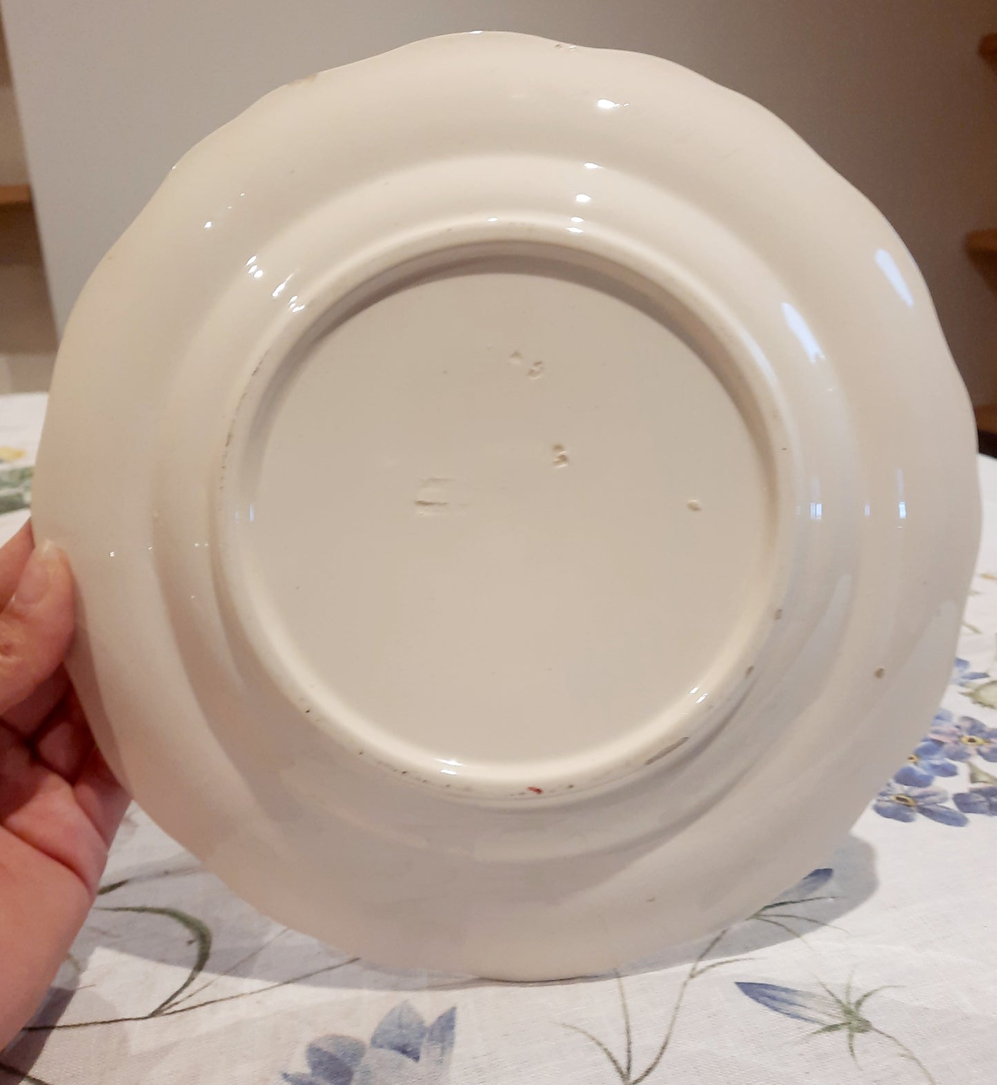 6 assiettes plates Longchamp