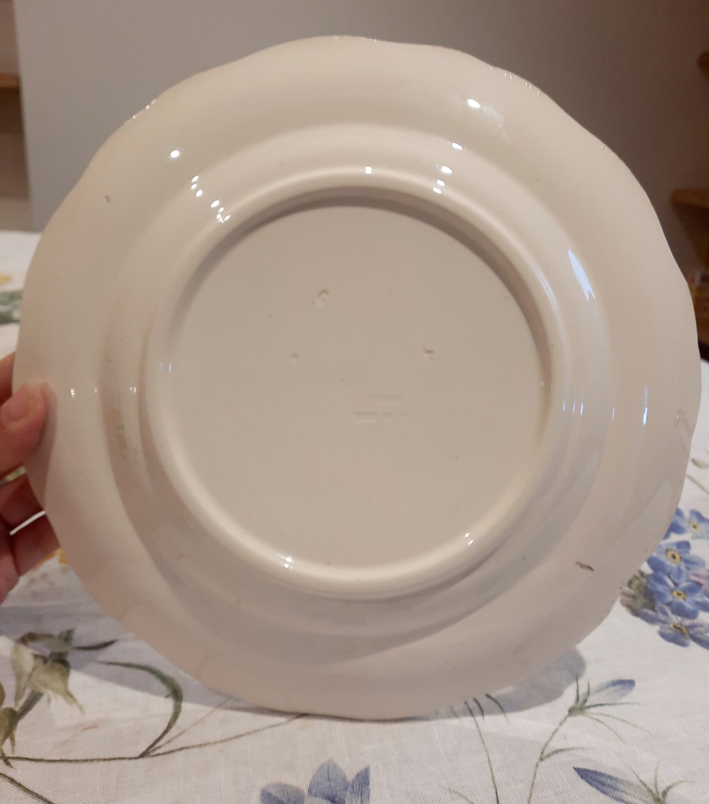 6 assiettes plates Longchamp