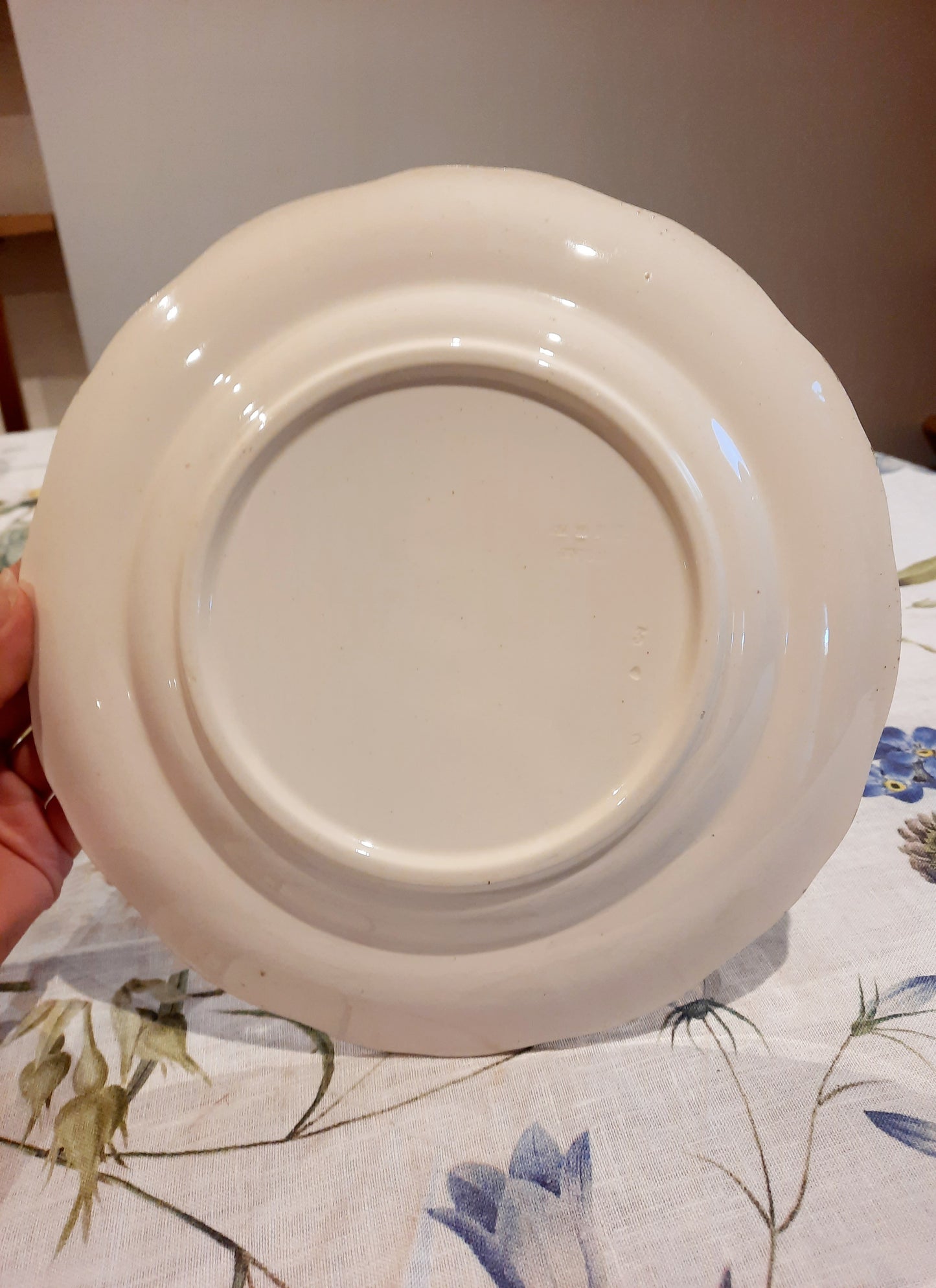 8 assiettes plates Longchamp