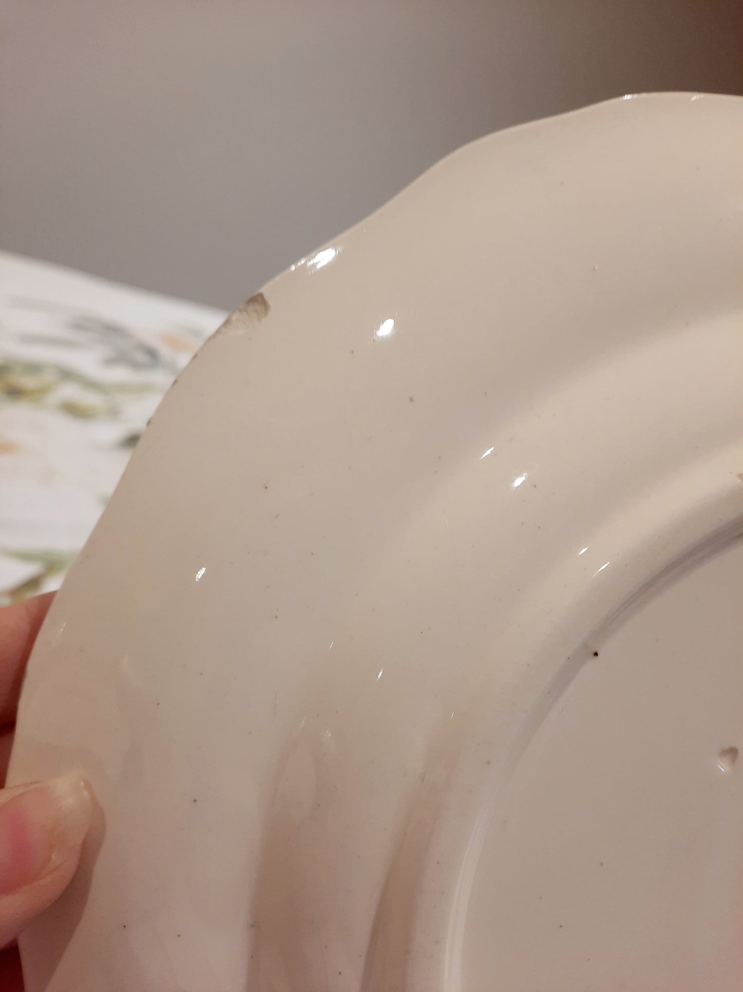 8 assiettes plates Longchamp