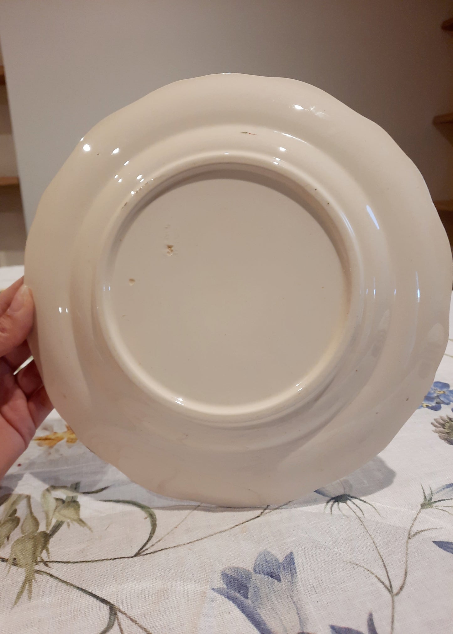 8 assiettes plates Longchamp