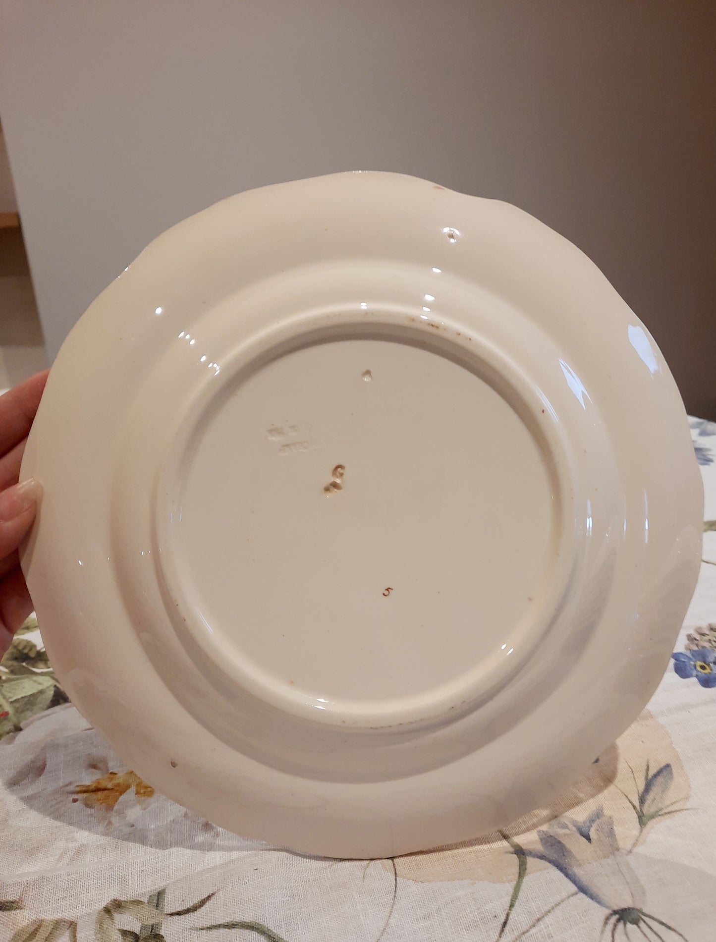 8 assiettes plates Longchamp