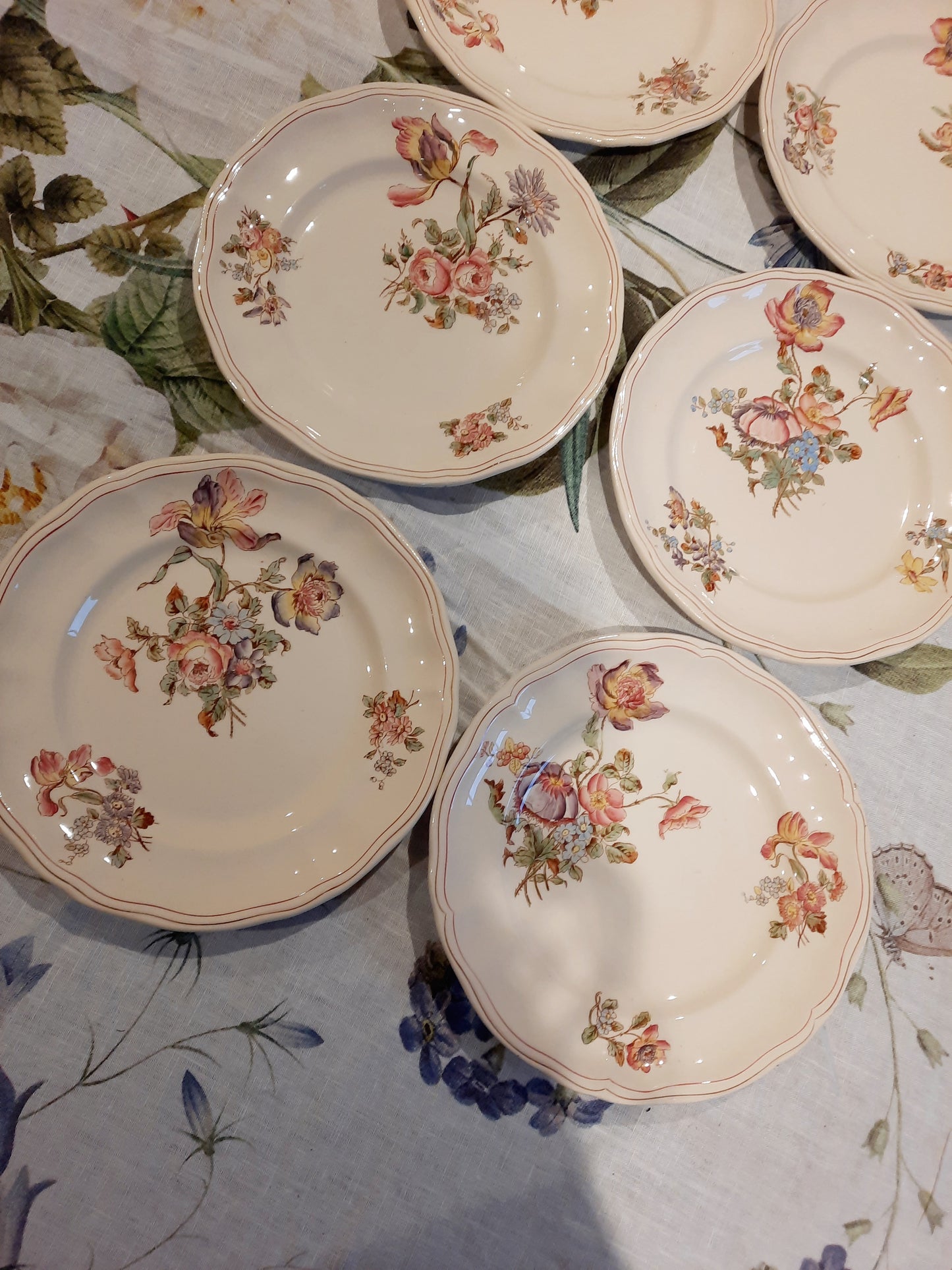 6 assiettes à dessert terre de fer