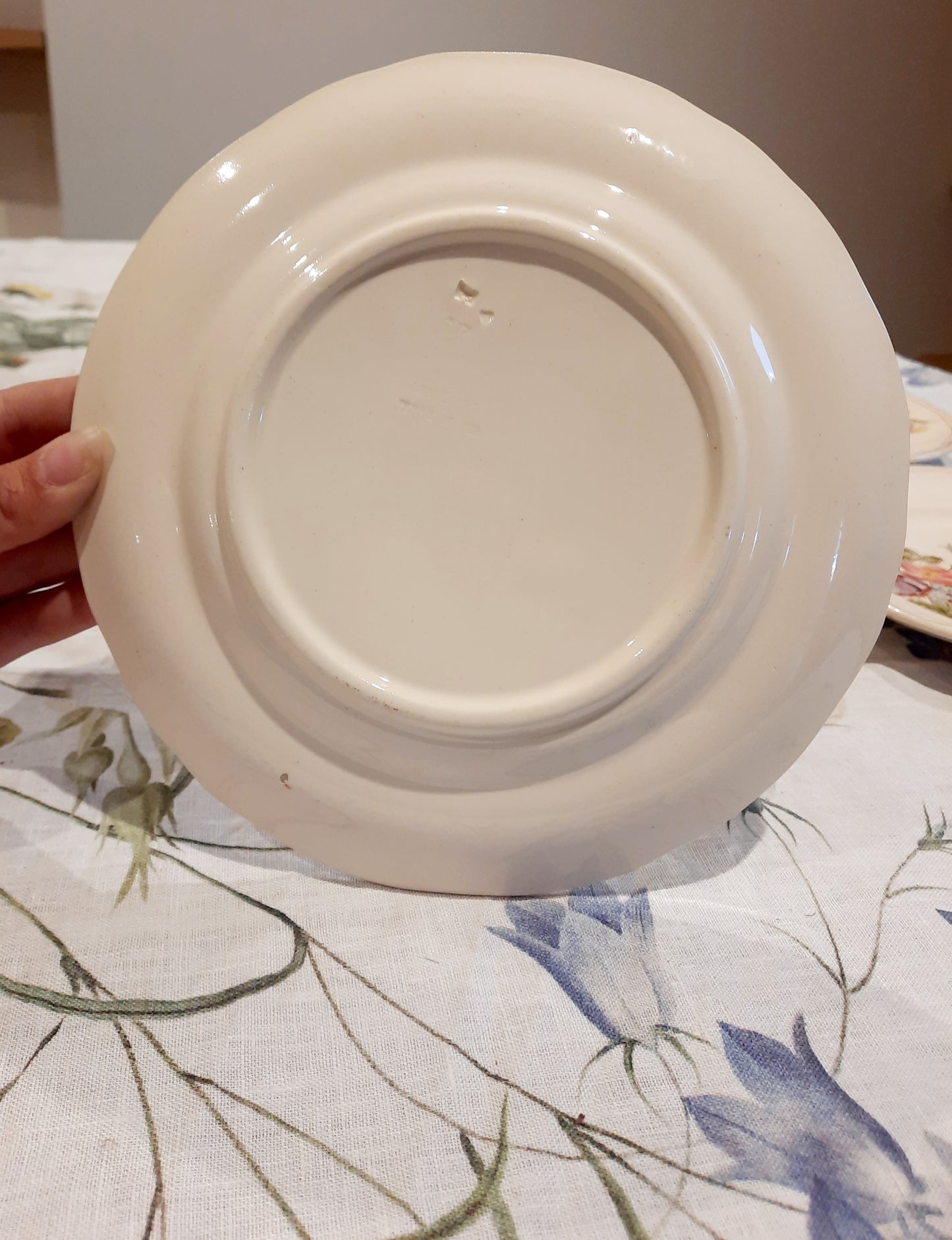 6 assiettes à dessert terre de fer