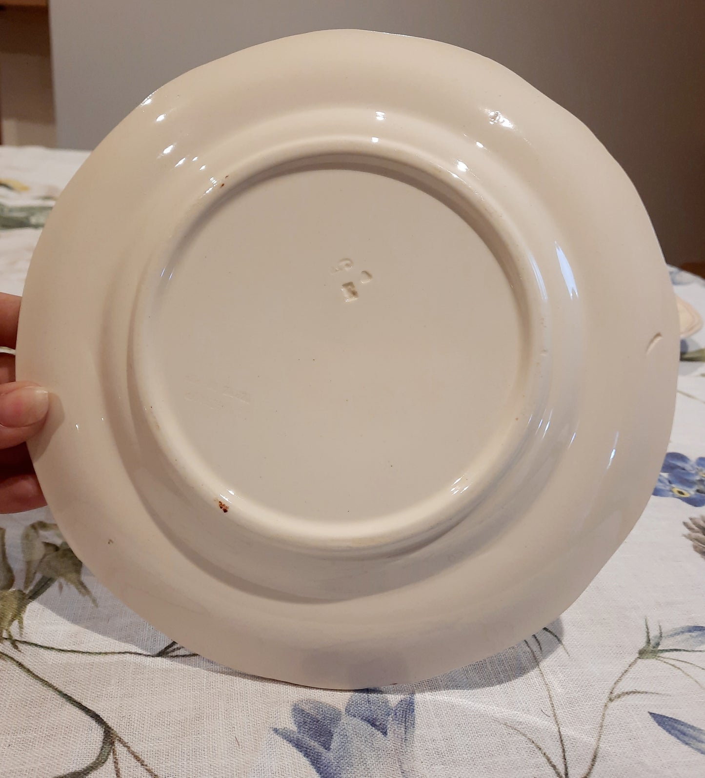 6 assiettes à dessert terre de fer