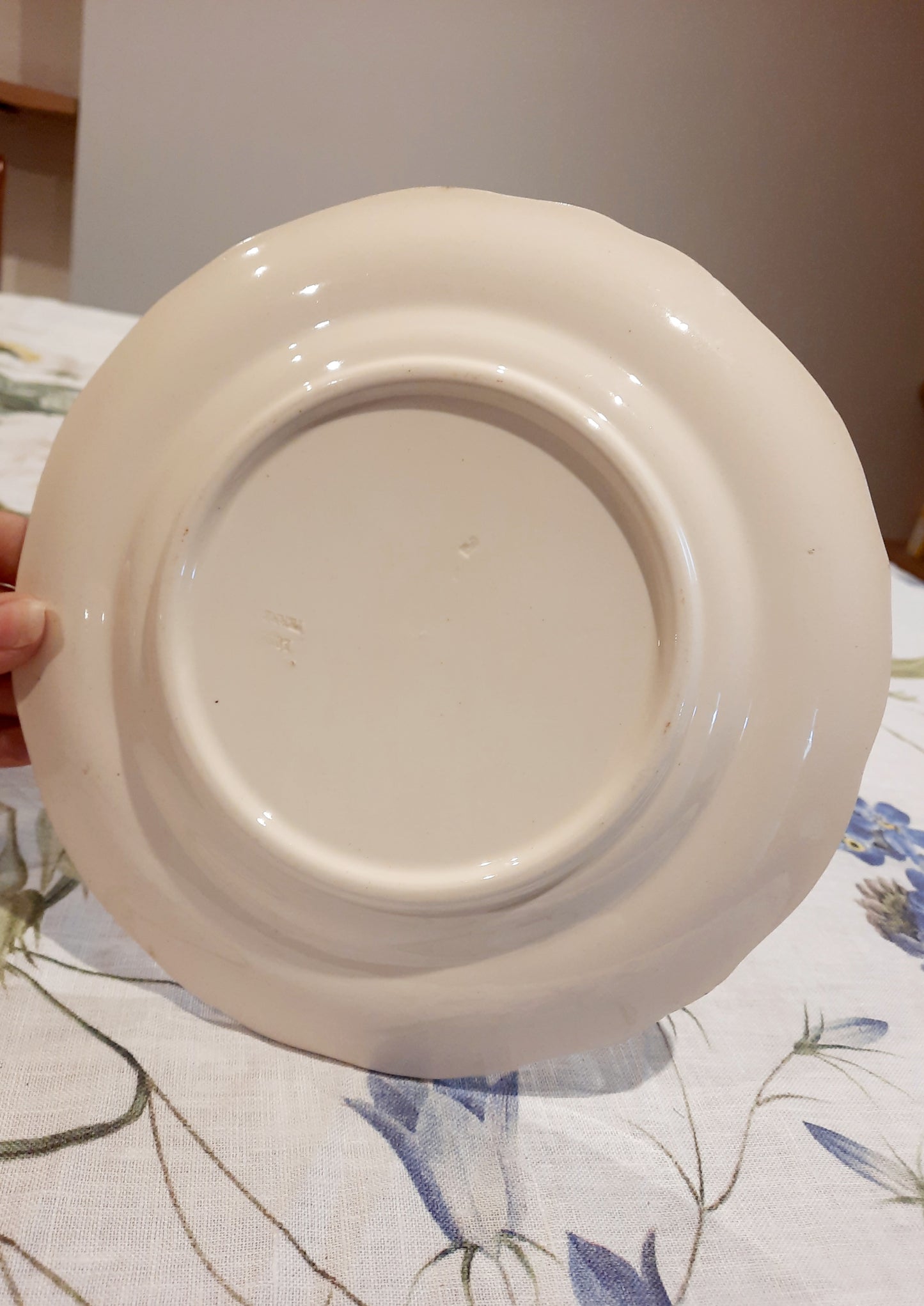 6 assiettes à dessert terre de fer