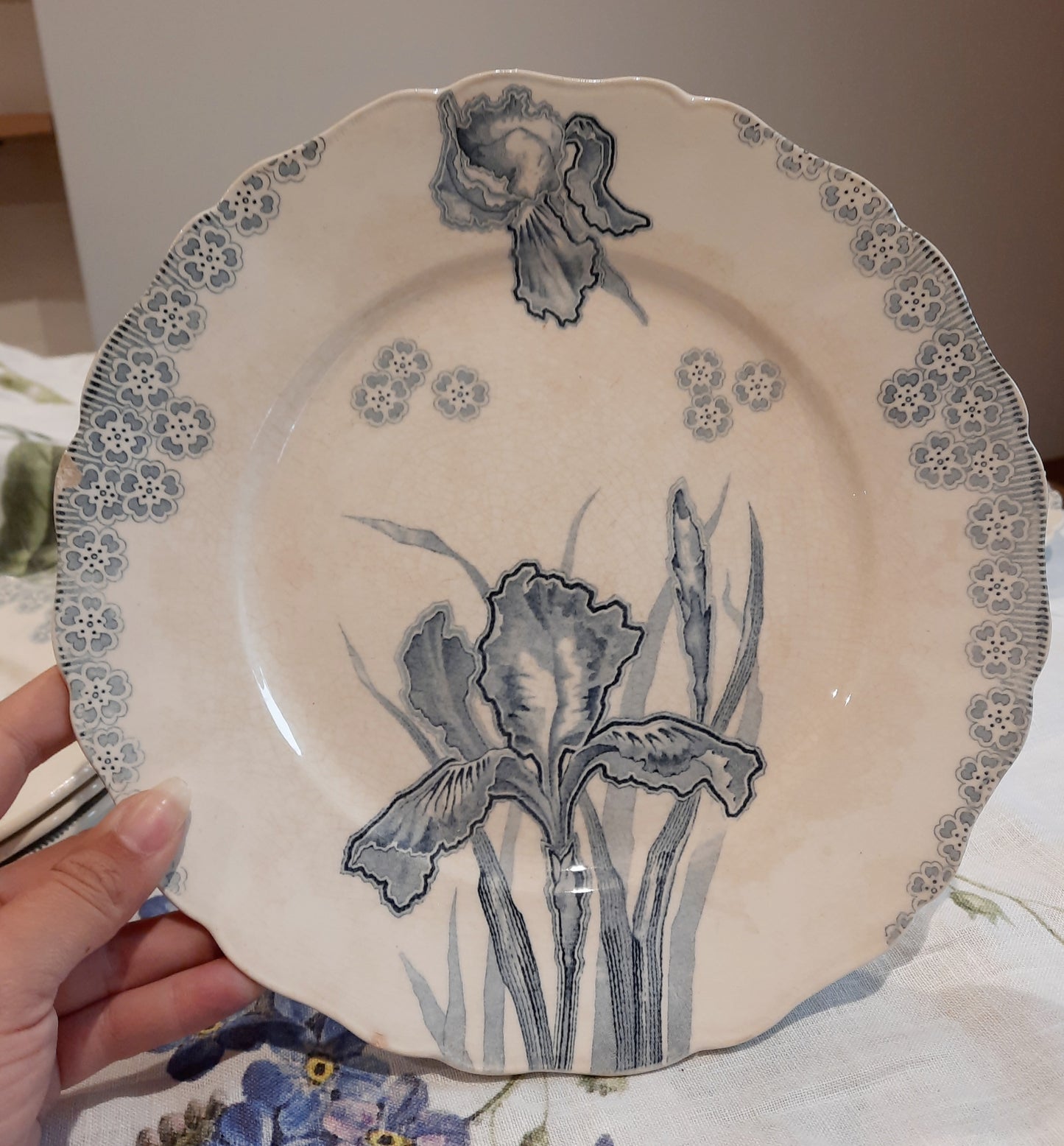 Lot de 6 assiettes plates – H. Boulanger Terre de Fer