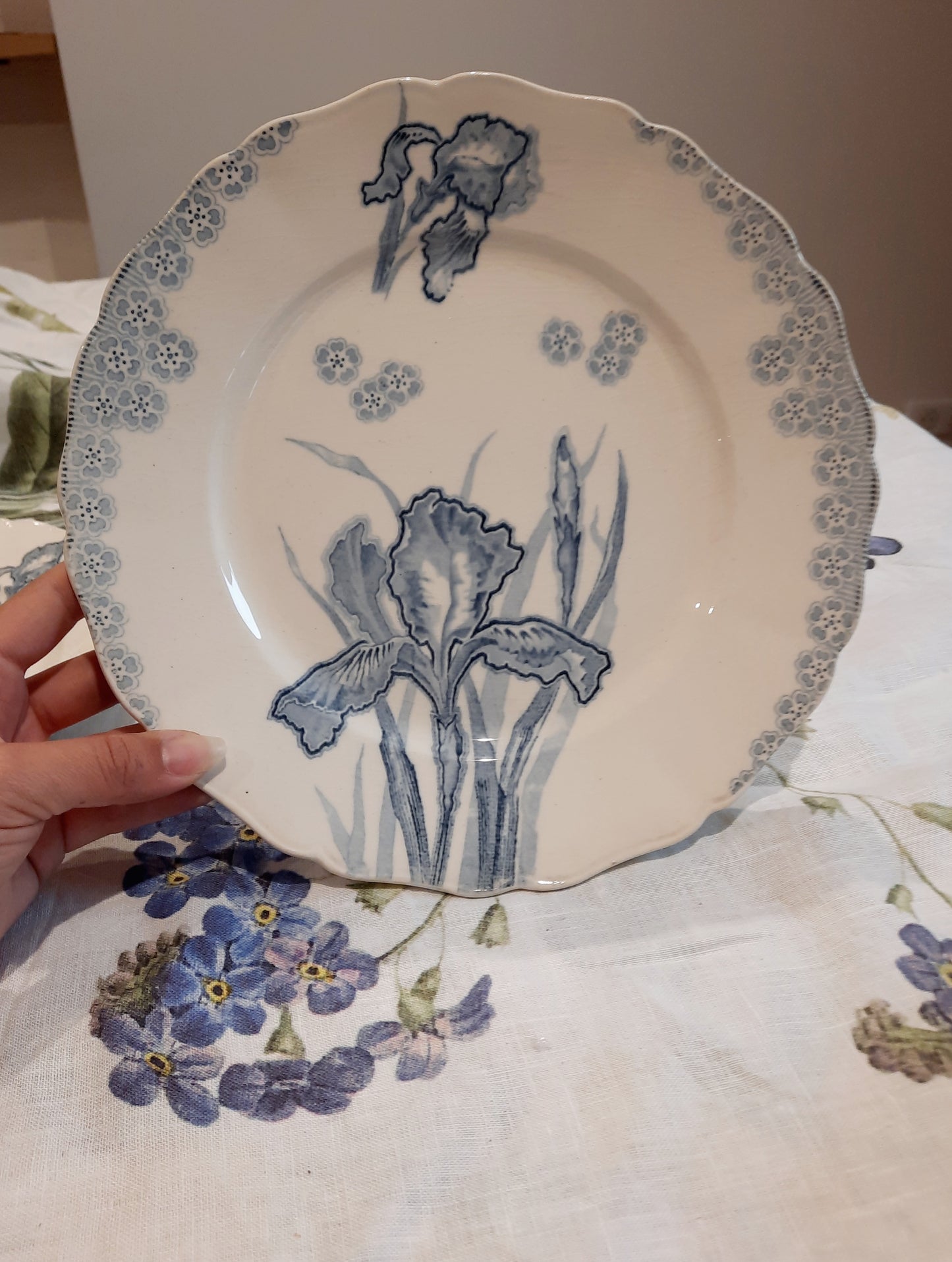 Lot de 6 assiettes plates – H. Boulanger Terre de Fer