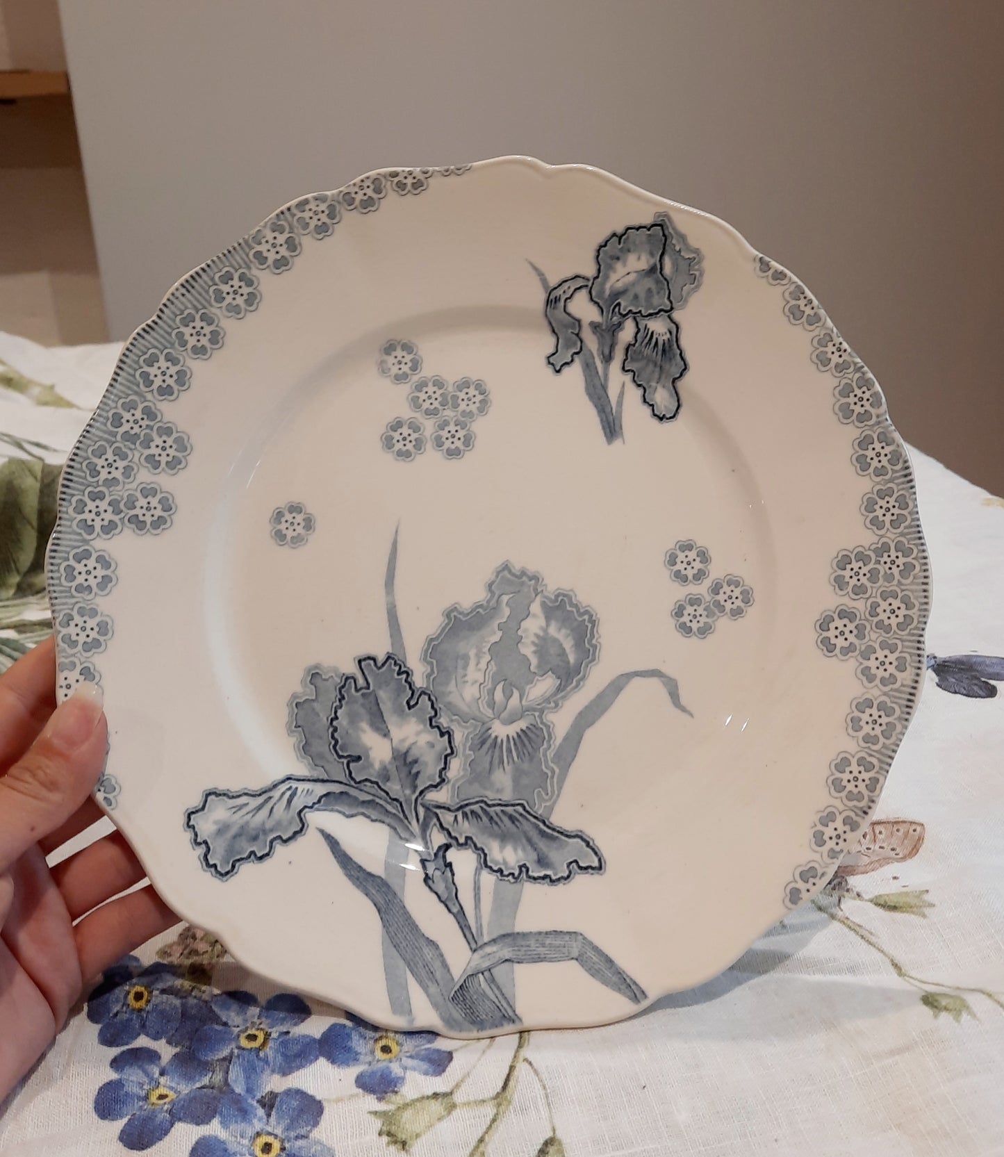 Lot de 6 assiettes plates – H. Boulanger Terre de Fer