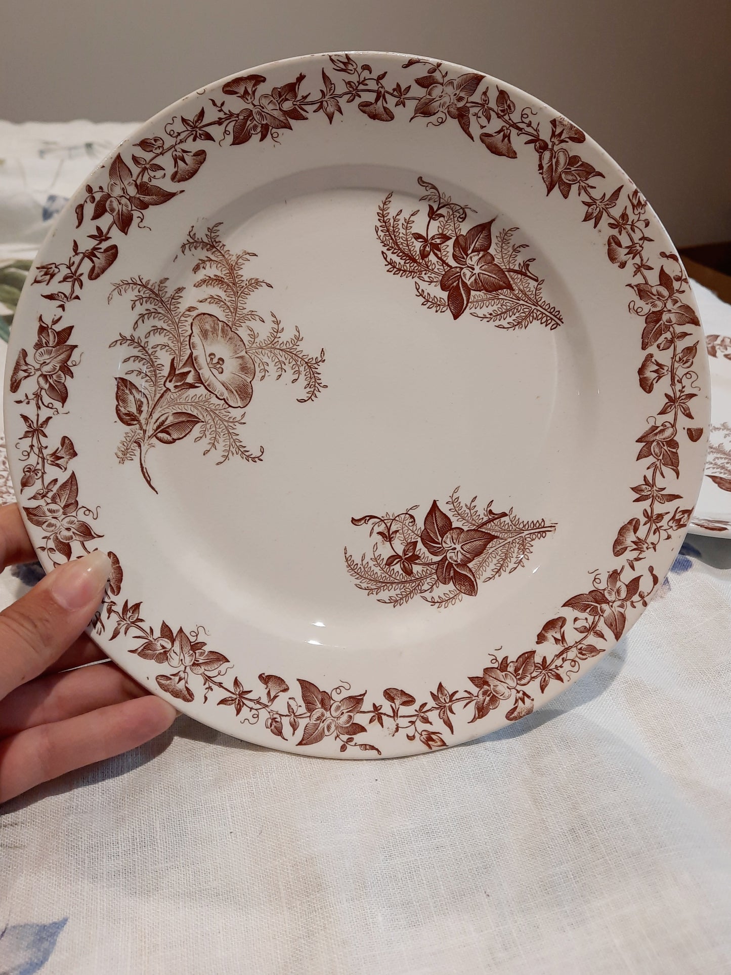 Lot de 6 assiettes à dessert
