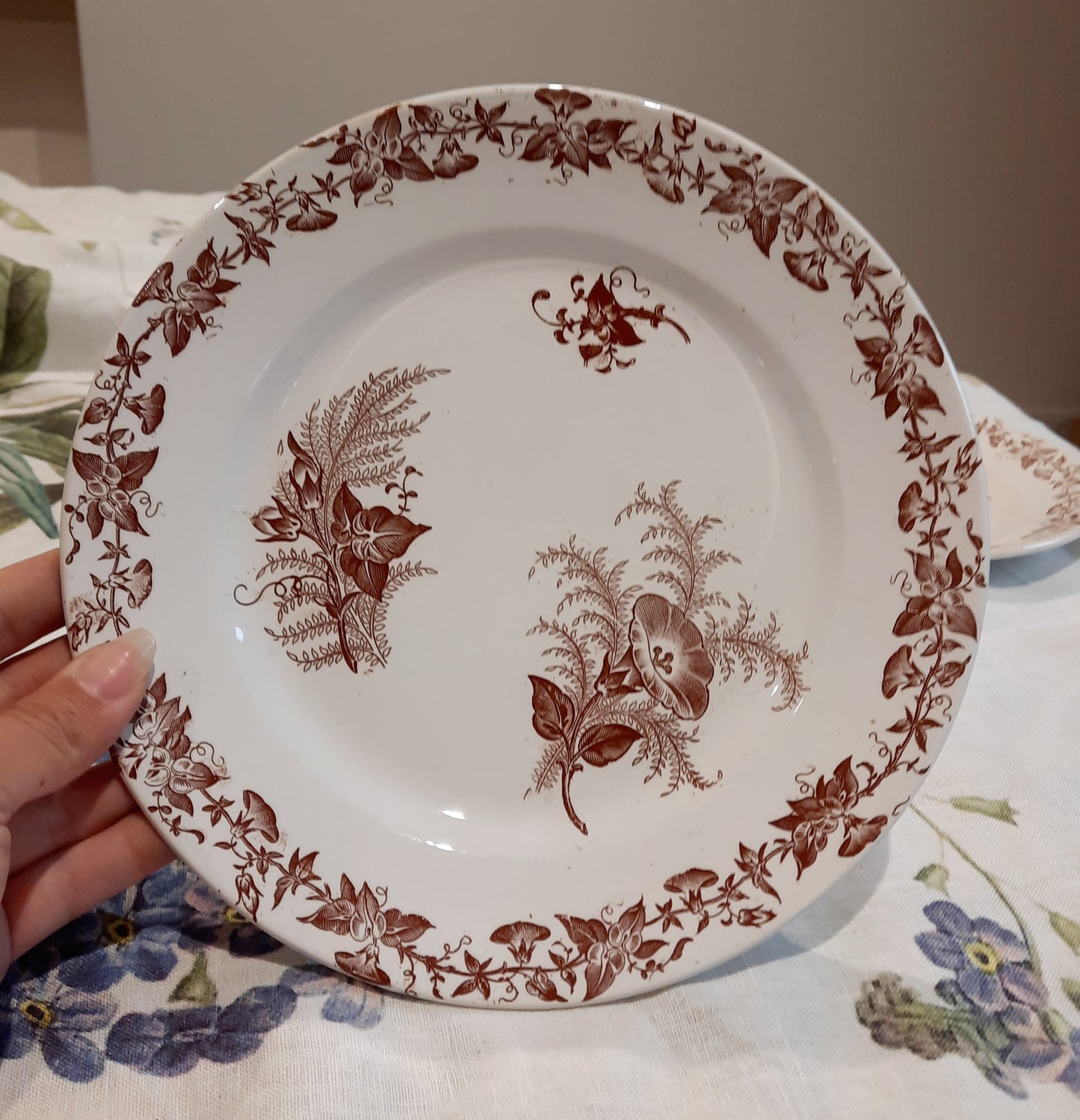 Lot de 6 assiettes à dessert
