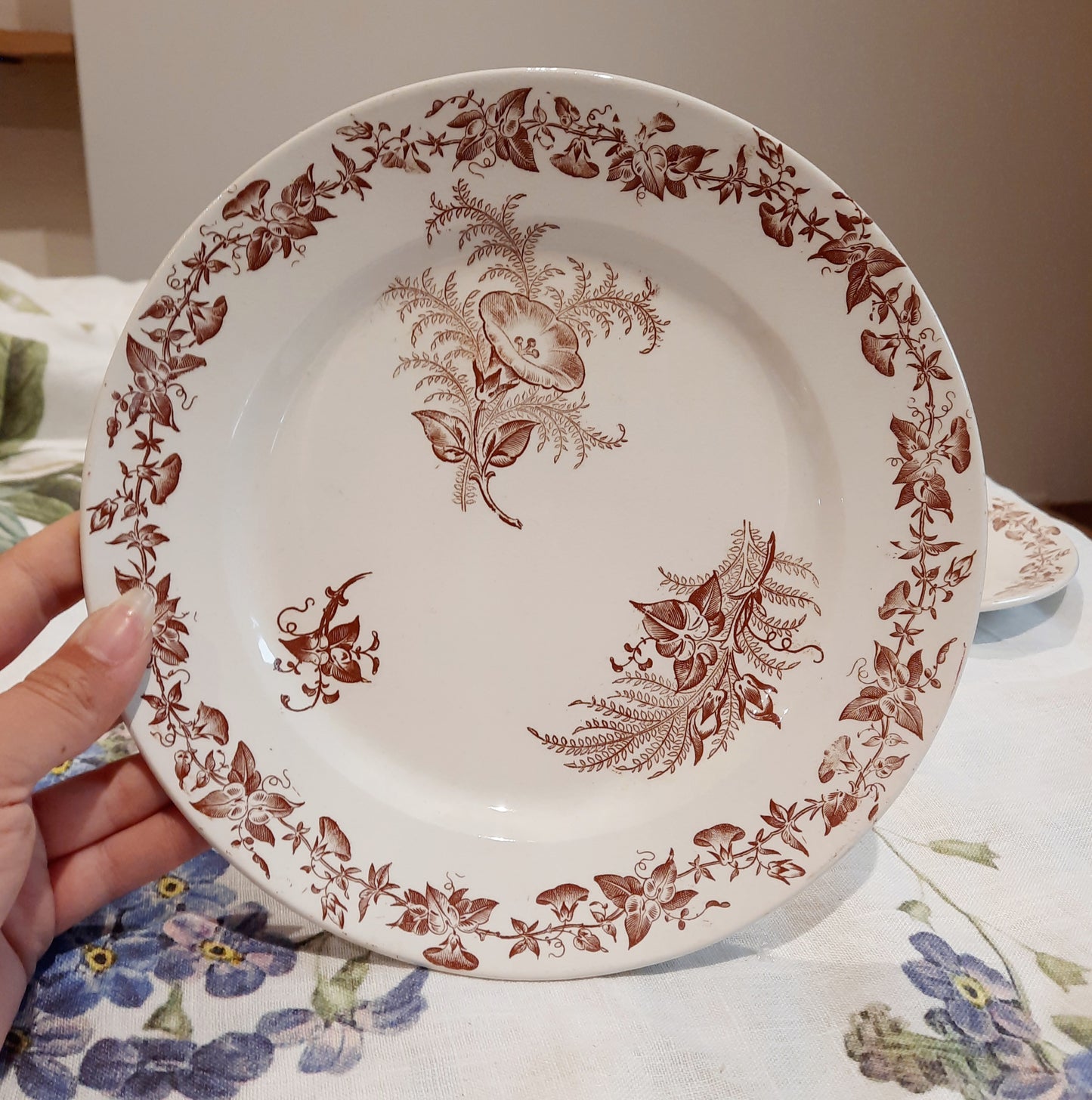 Lot de 6 assiettes à dessert