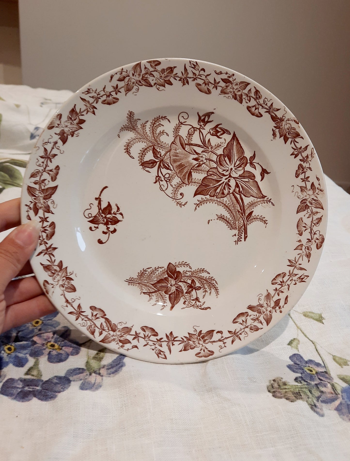 Lot de 6 assiettes à dessert