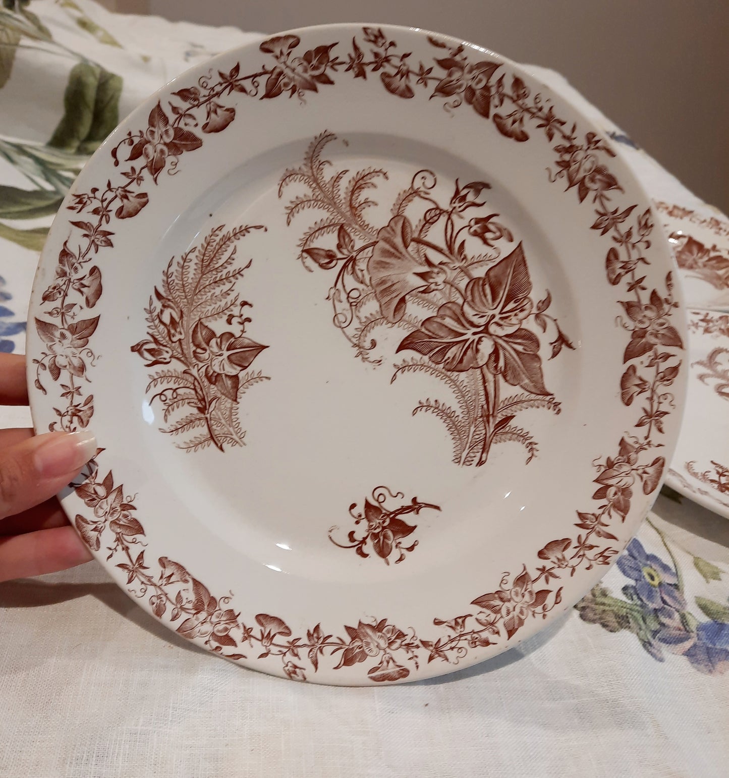 Lot de 4 assiettes à dessert