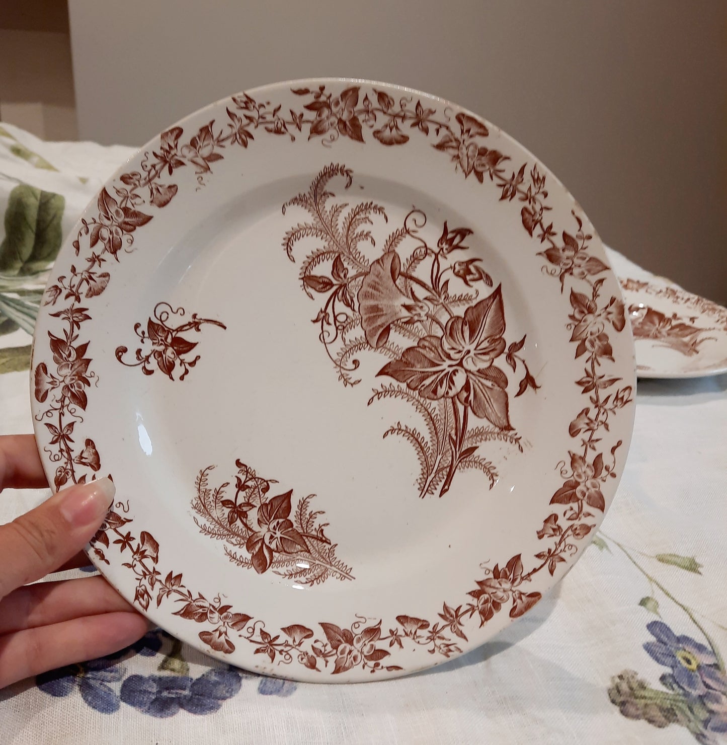 Lot de 4 assiettes à dessert