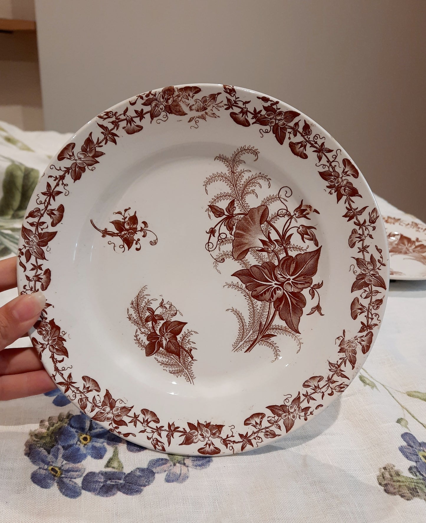 Lot de 4 assiettes à dessert