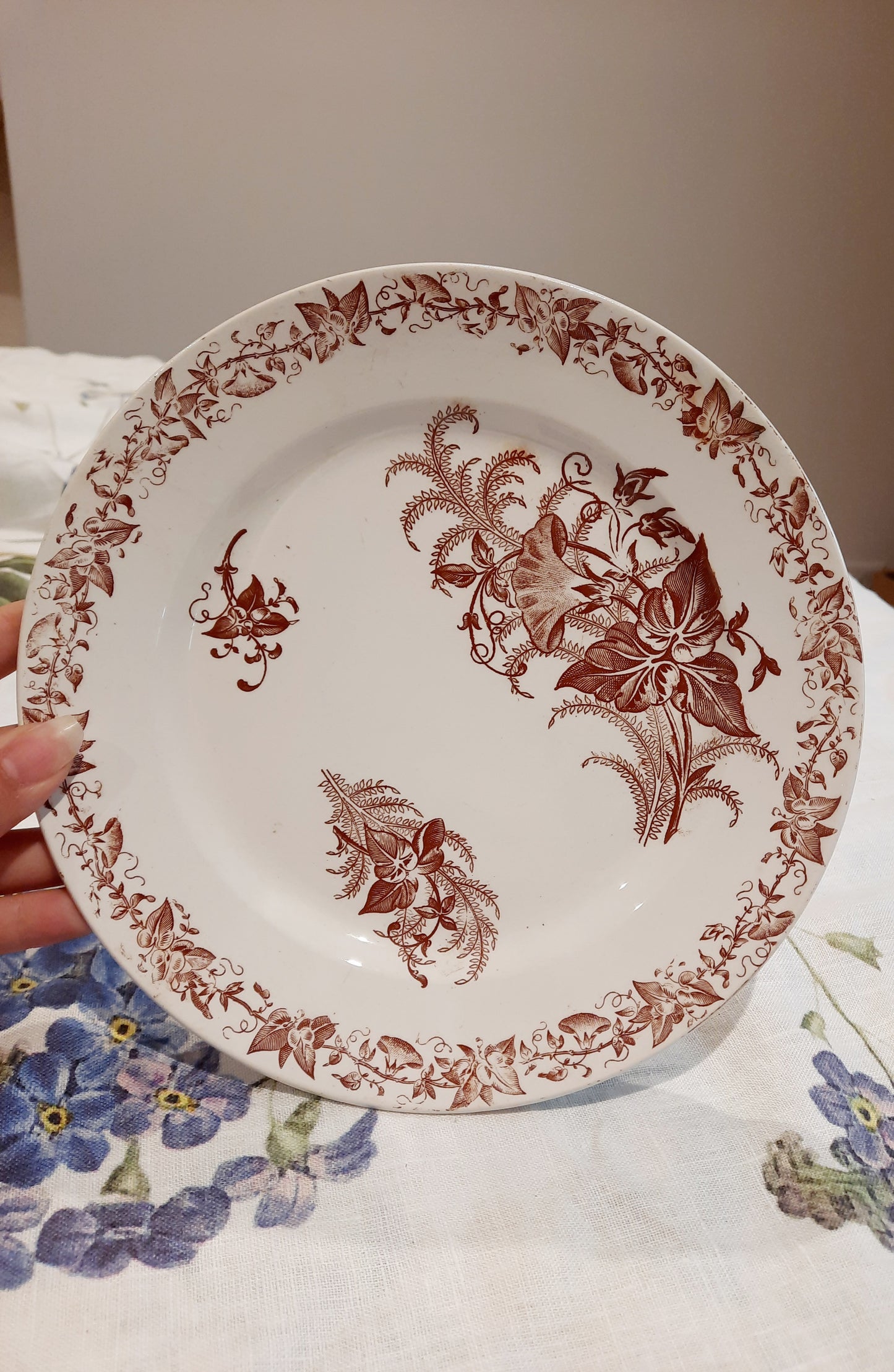 Lot de 4 assiettes à dessert