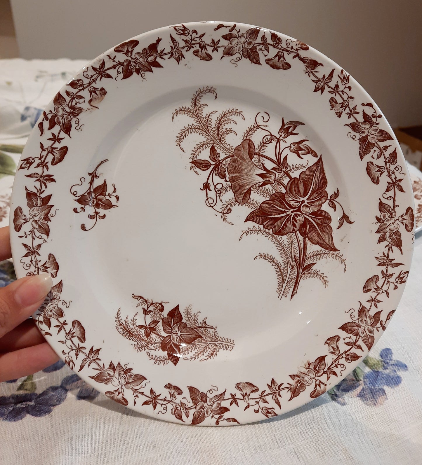 Lot de 4 assiettes à dessert (2)