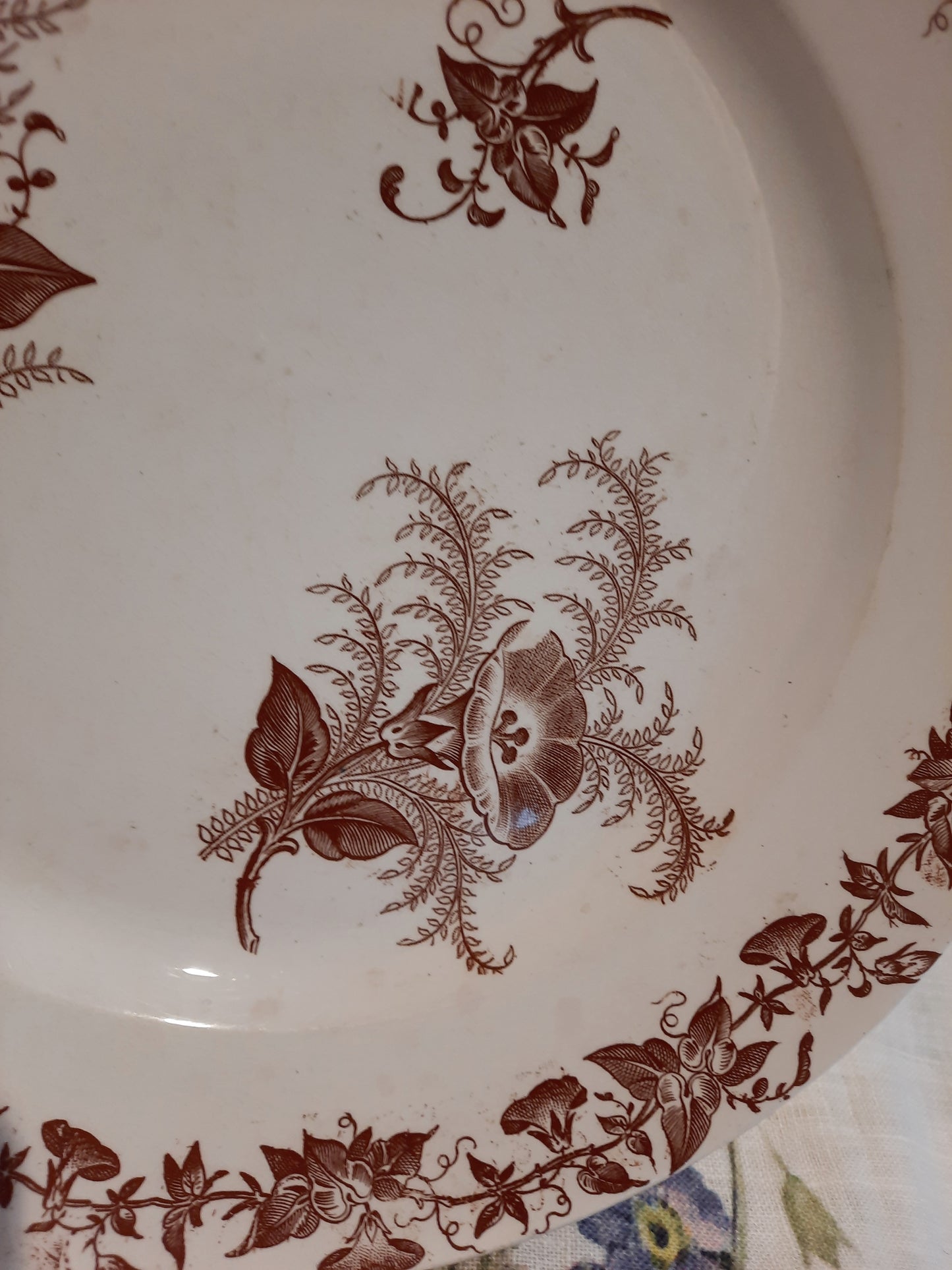 Lot de 4 assiettes à dessert (2)