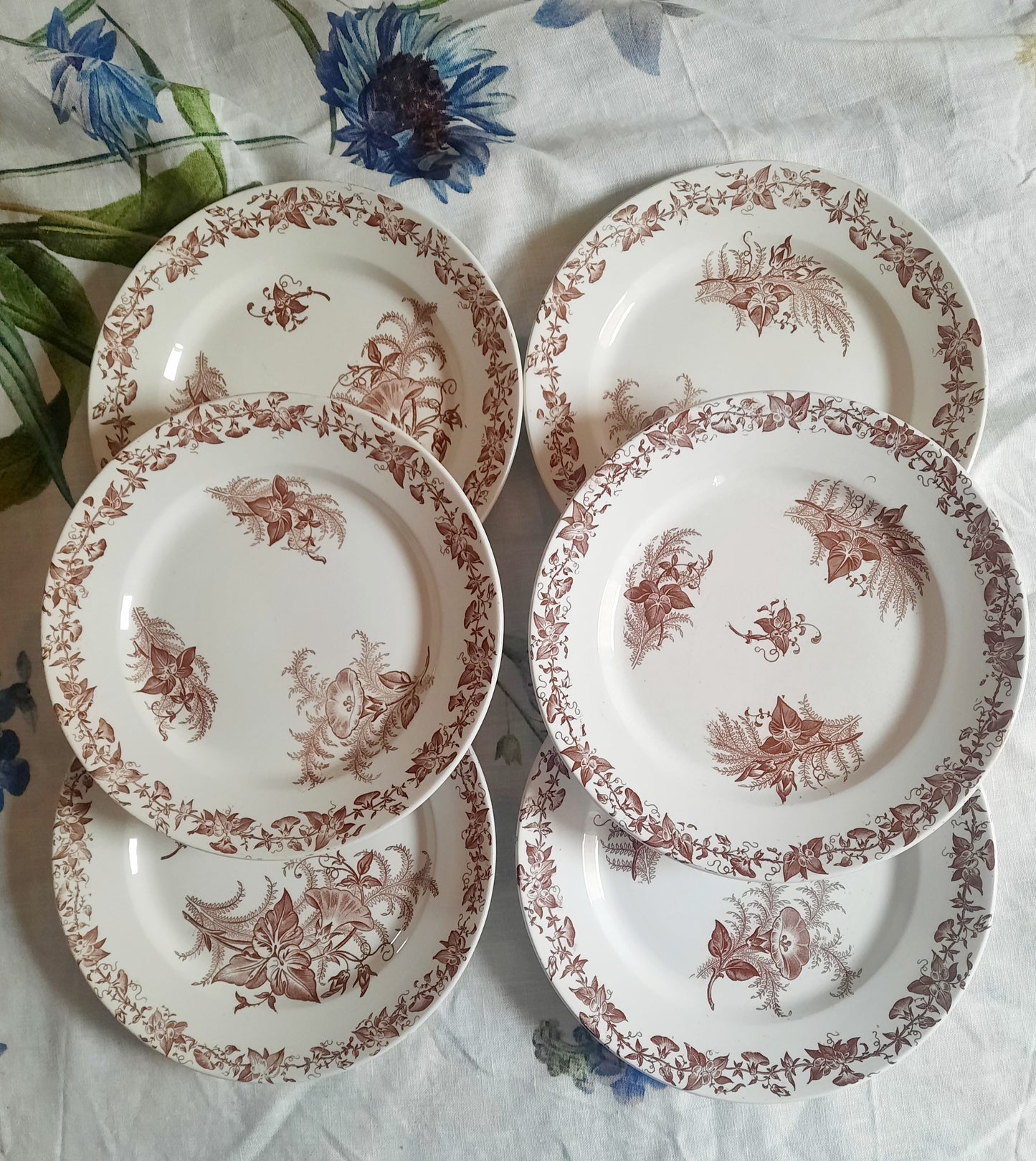 Lot de 6 assiettes à dessert