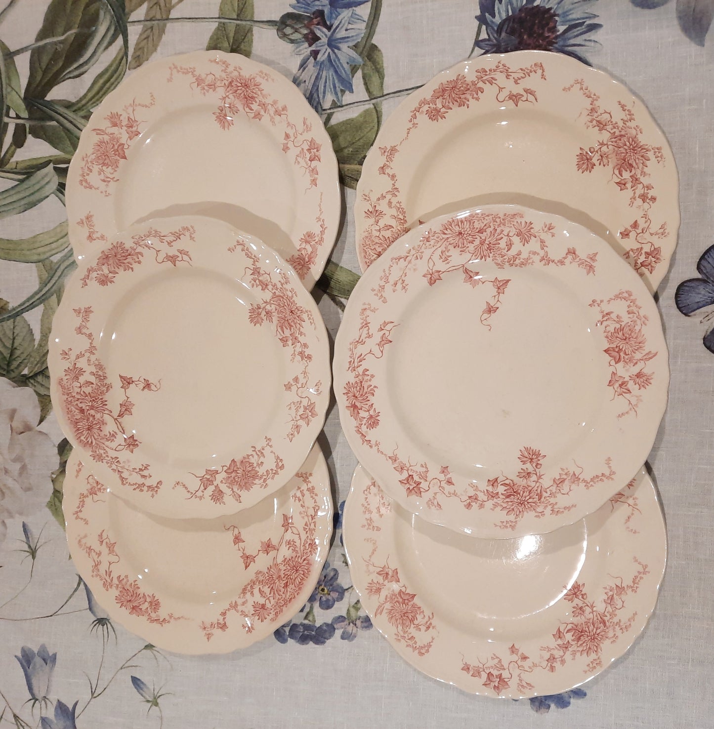 6 assiettes plates (1)