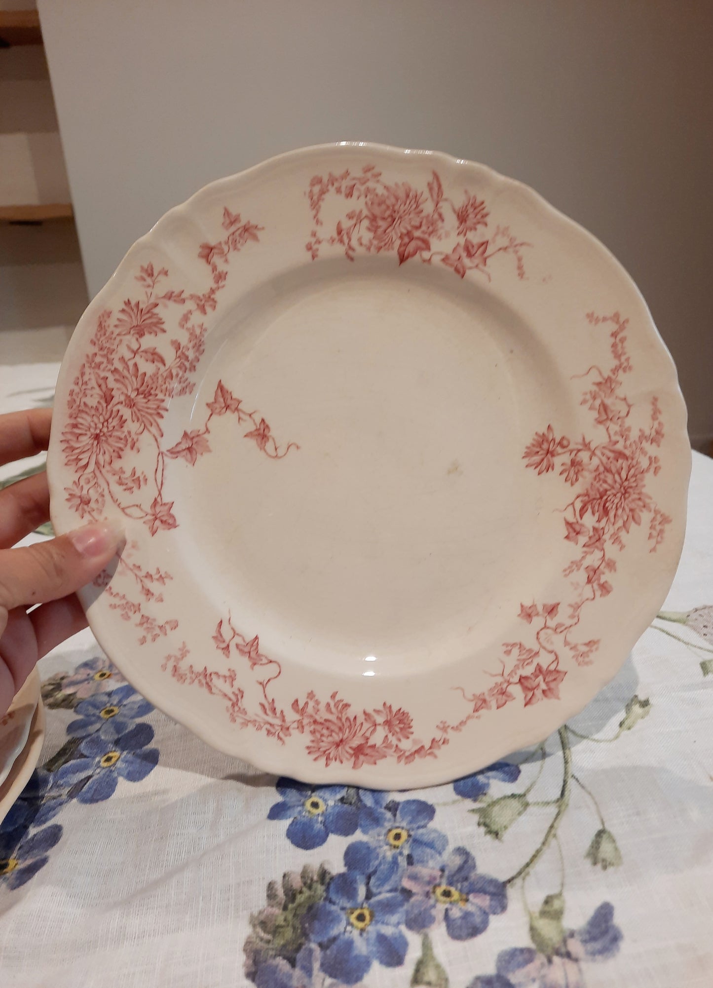 6 assiettes plates (1)