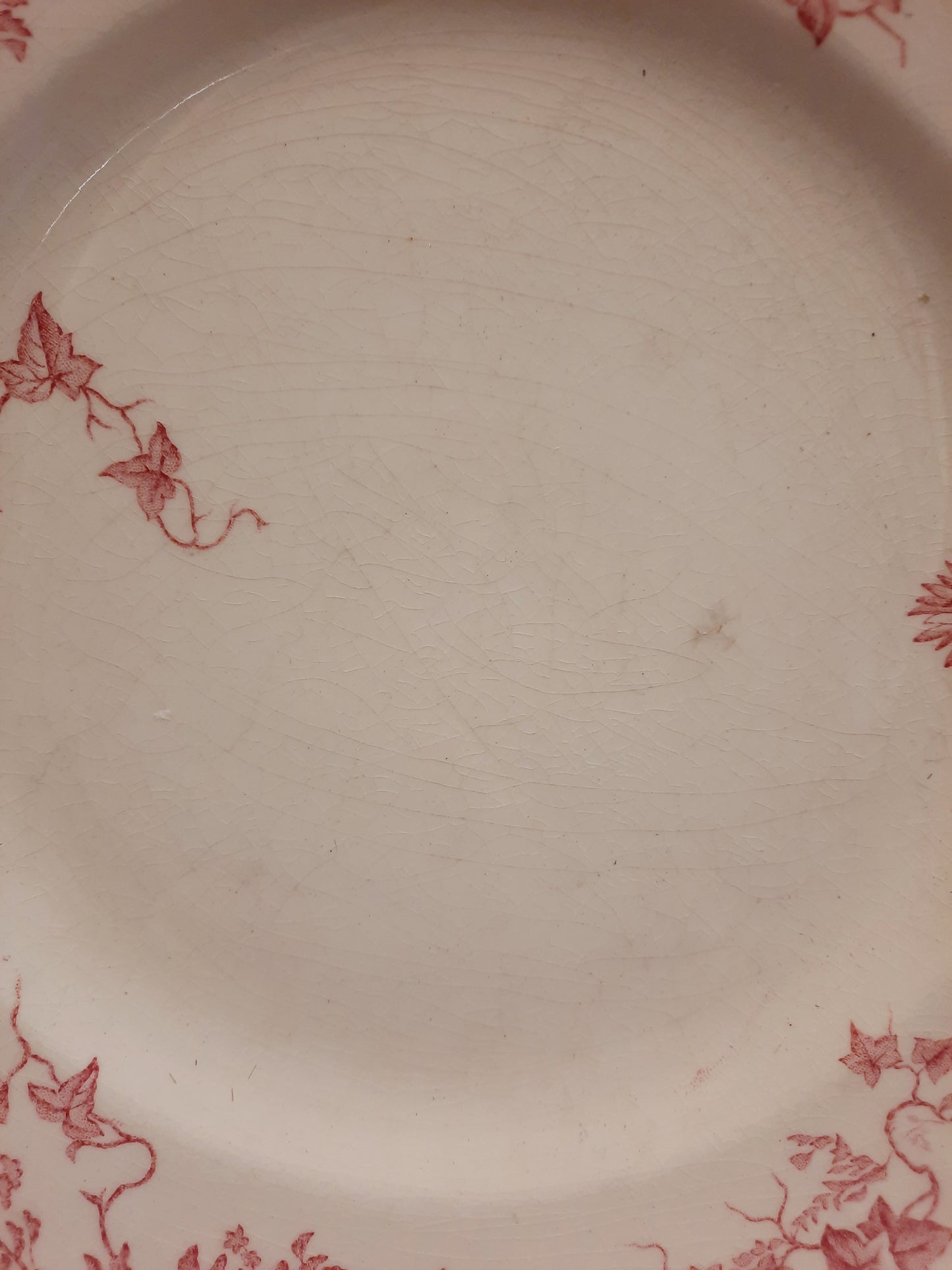 6 assiettes plates (1)